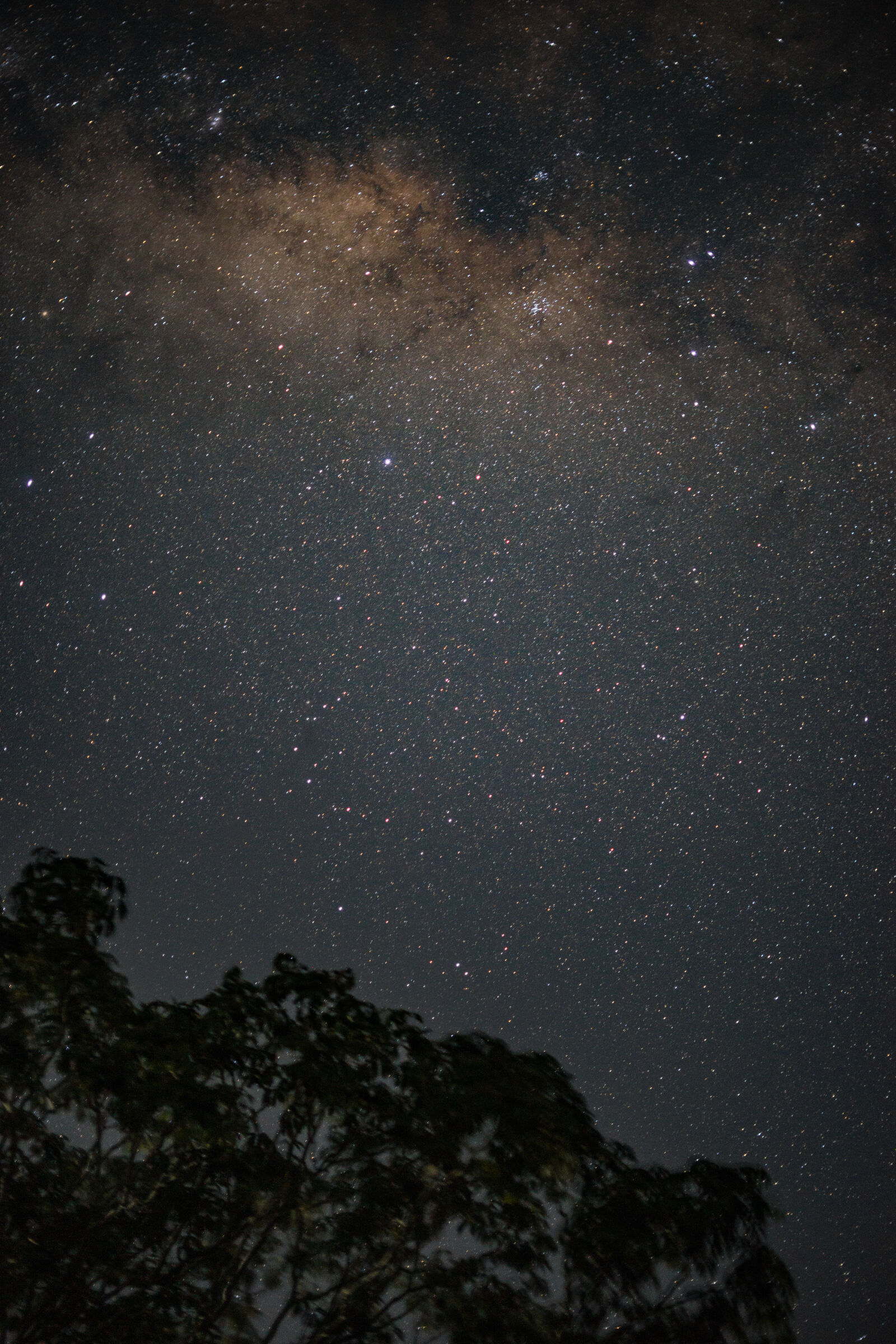Sony a7 sample photo