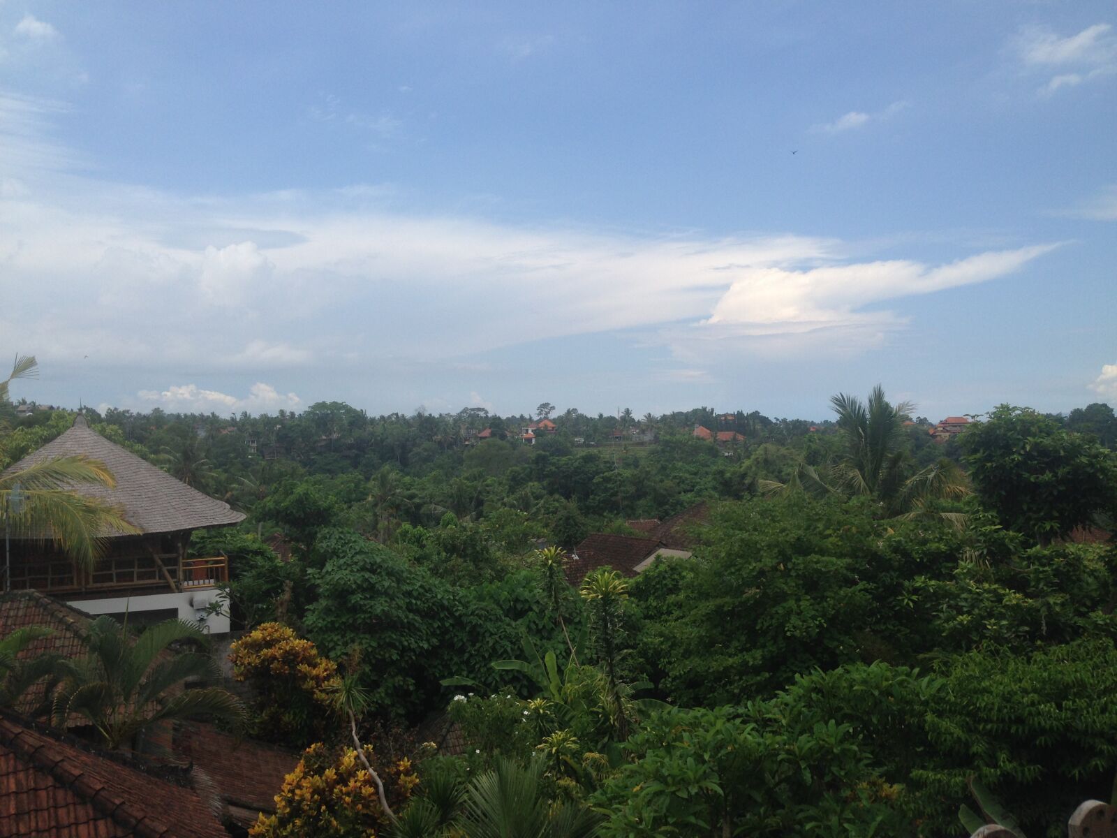 iPhone 5 back camera 4.12mm f/2.4 sample photo. View point, penestanan, ubud photography