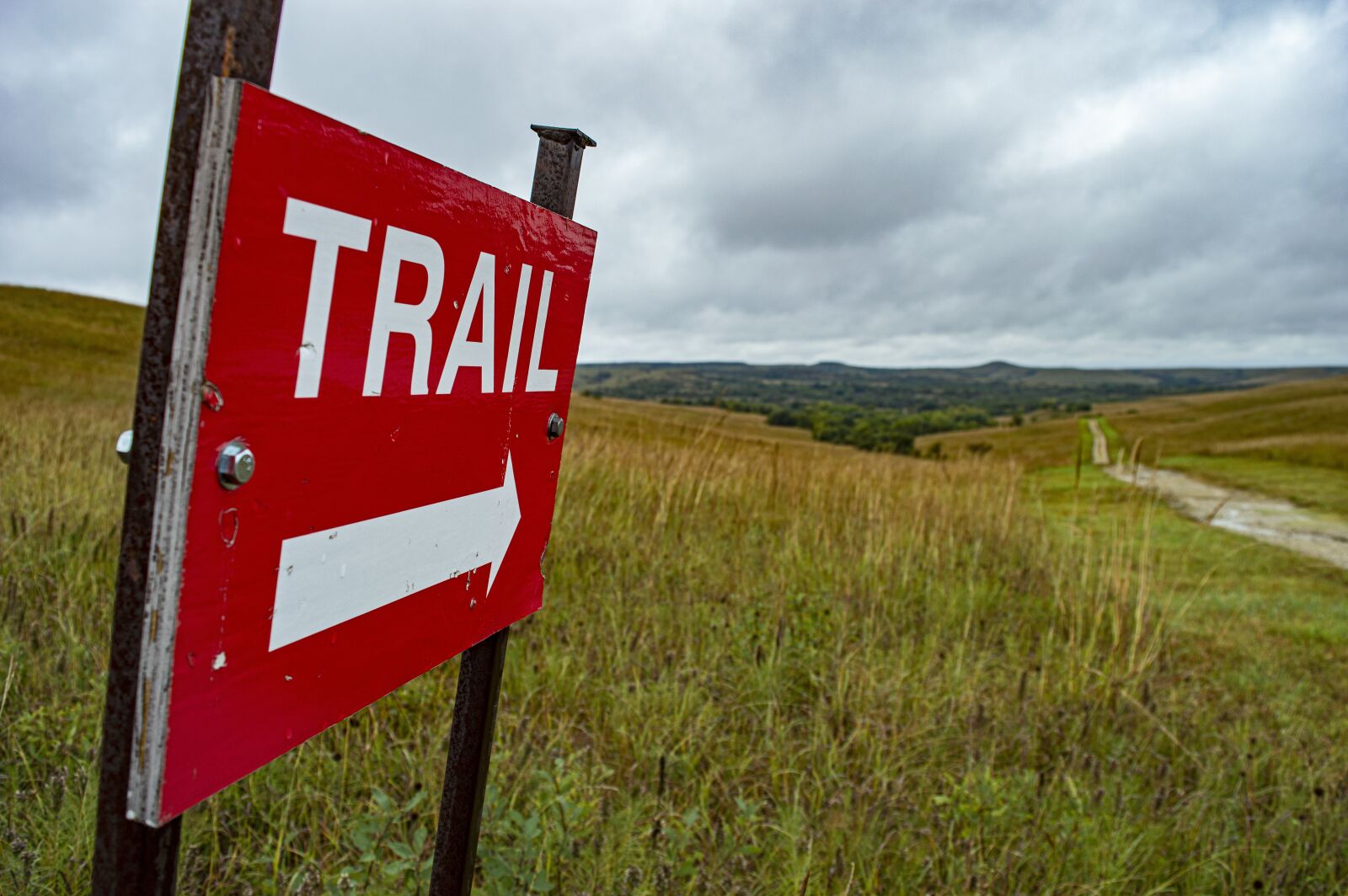 Nikon D3200 sample photo. Trail, hiking trail, walking photography