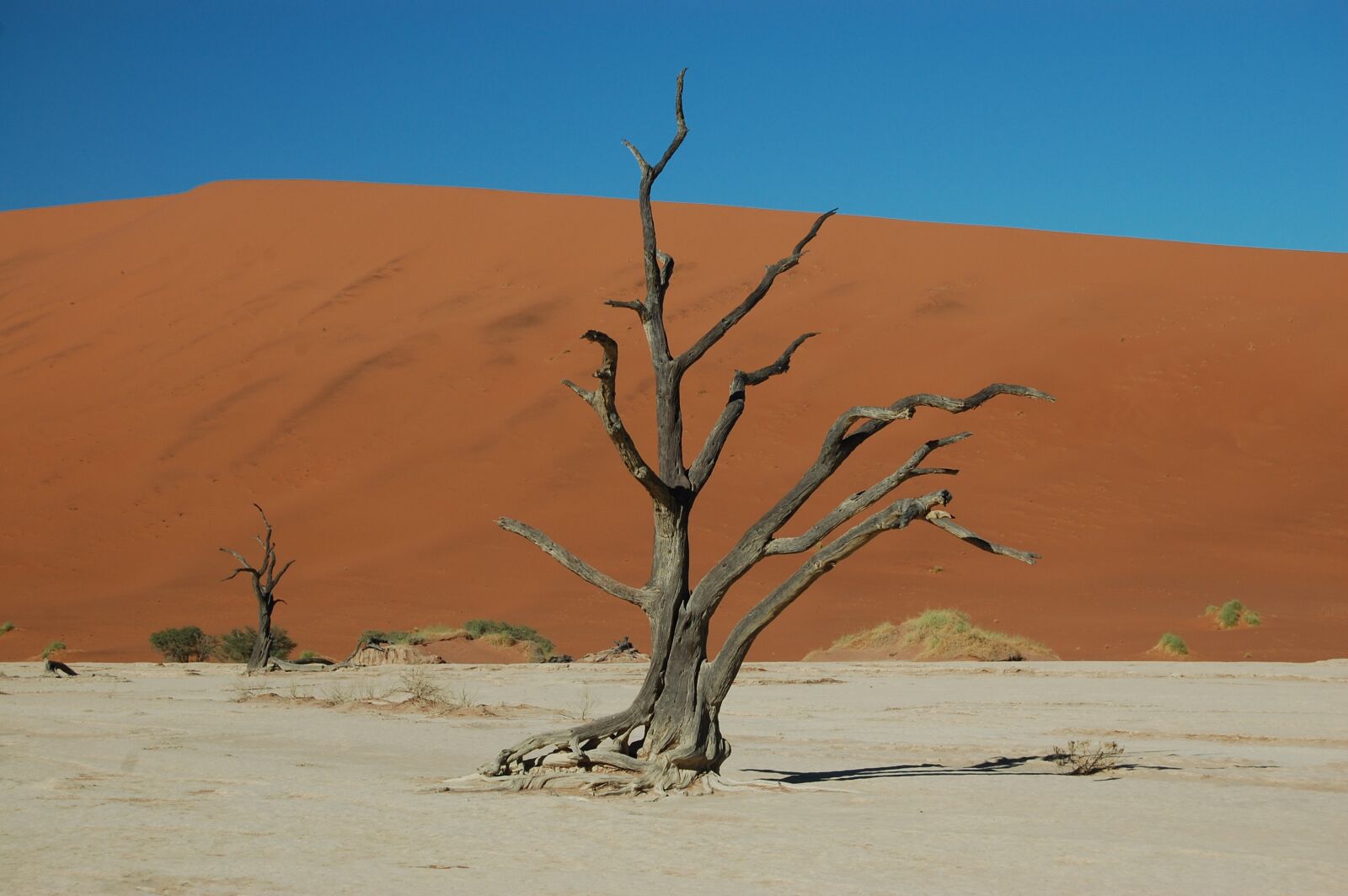 Nikon D40 sample photo. Desert, drought, sand photography