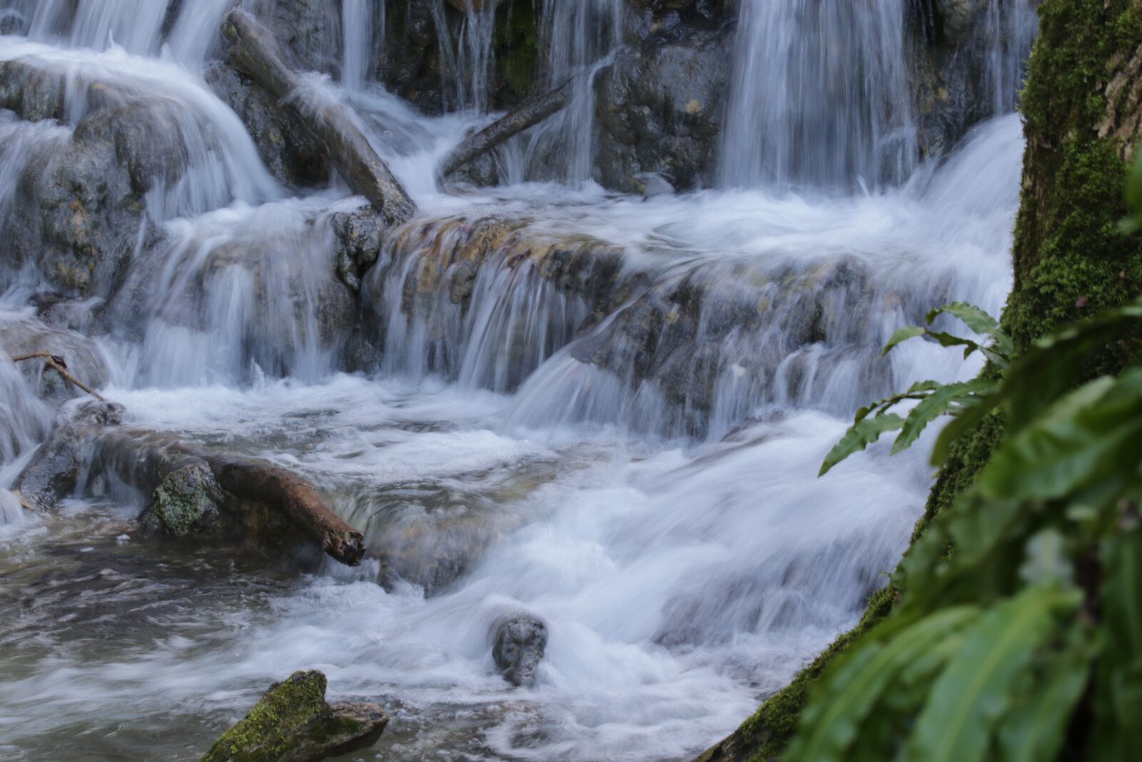 Canon EOS 7D Mark II sample photo. River, water, fog photography