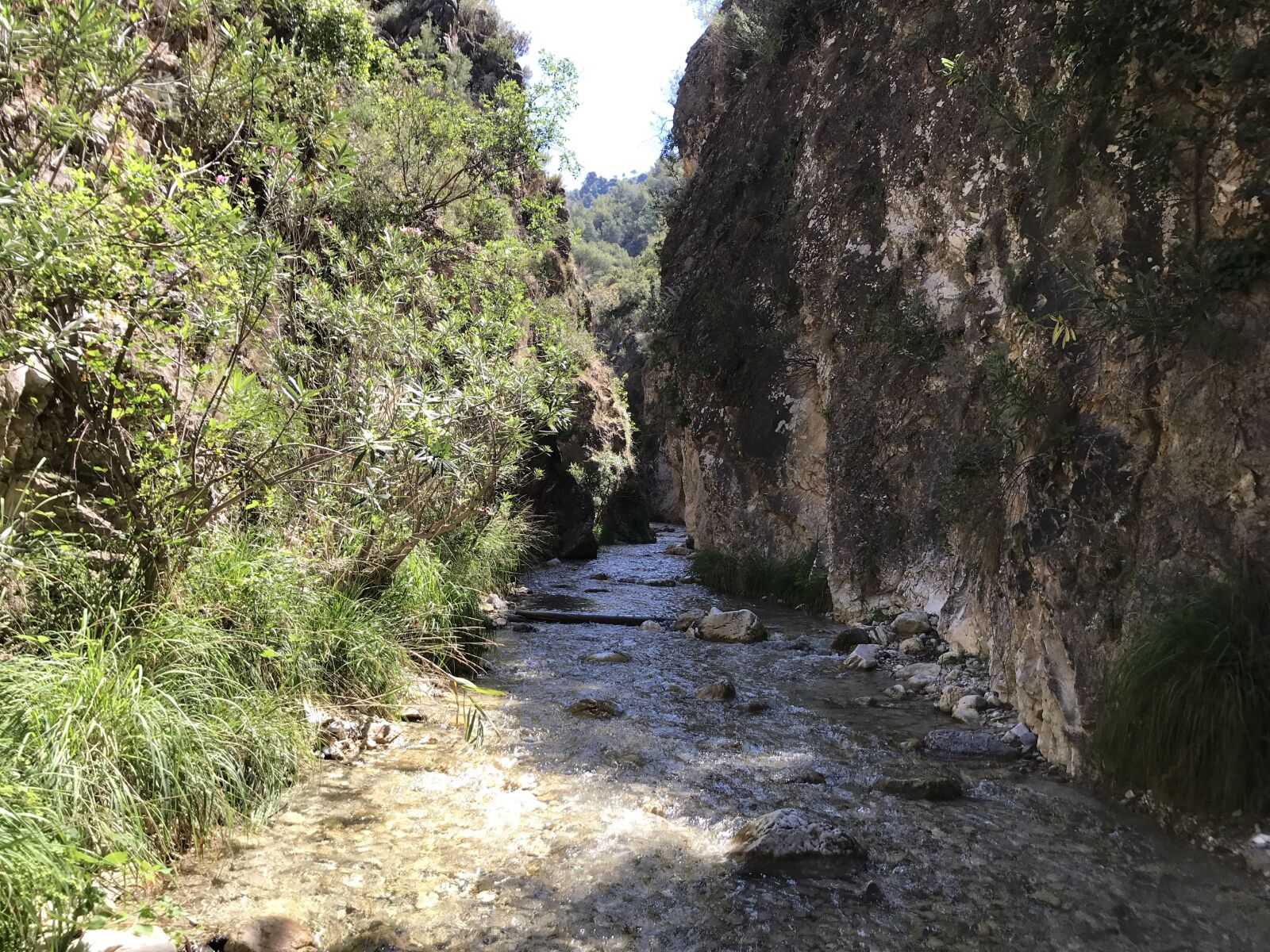 iPhone 7 back camera 3.99mm f/1.8 sample photo. Nerja, holiday, spain photography