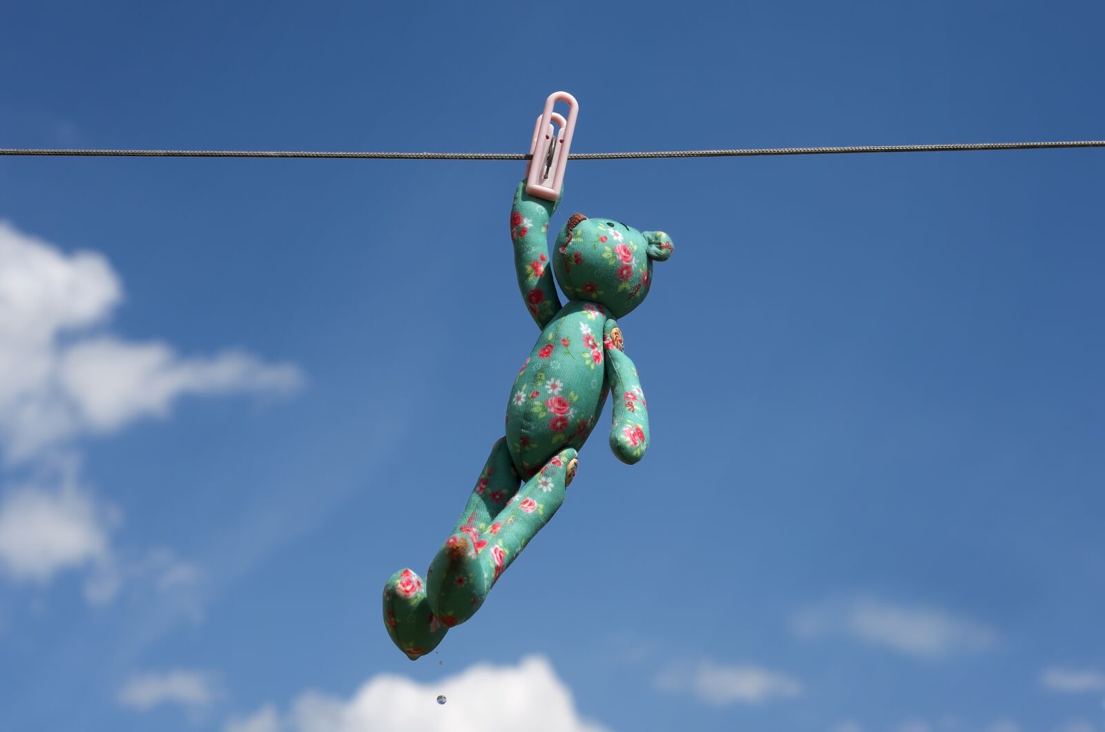 Pentax K-5 sample photo. Toy, pin, clothesline photography