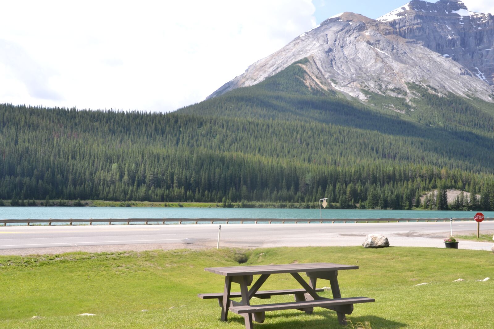Nikon D3100 sample photo. Landscape, picnic, nature photography