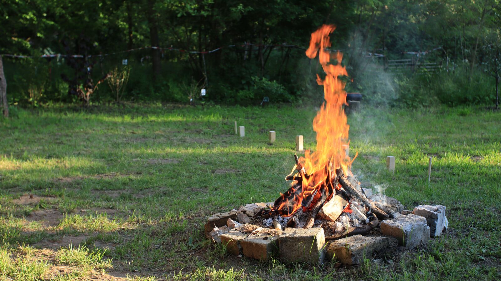 Canon EOS M50 (EOS Kiss M) sample photo. Fire, campfire, burn photography