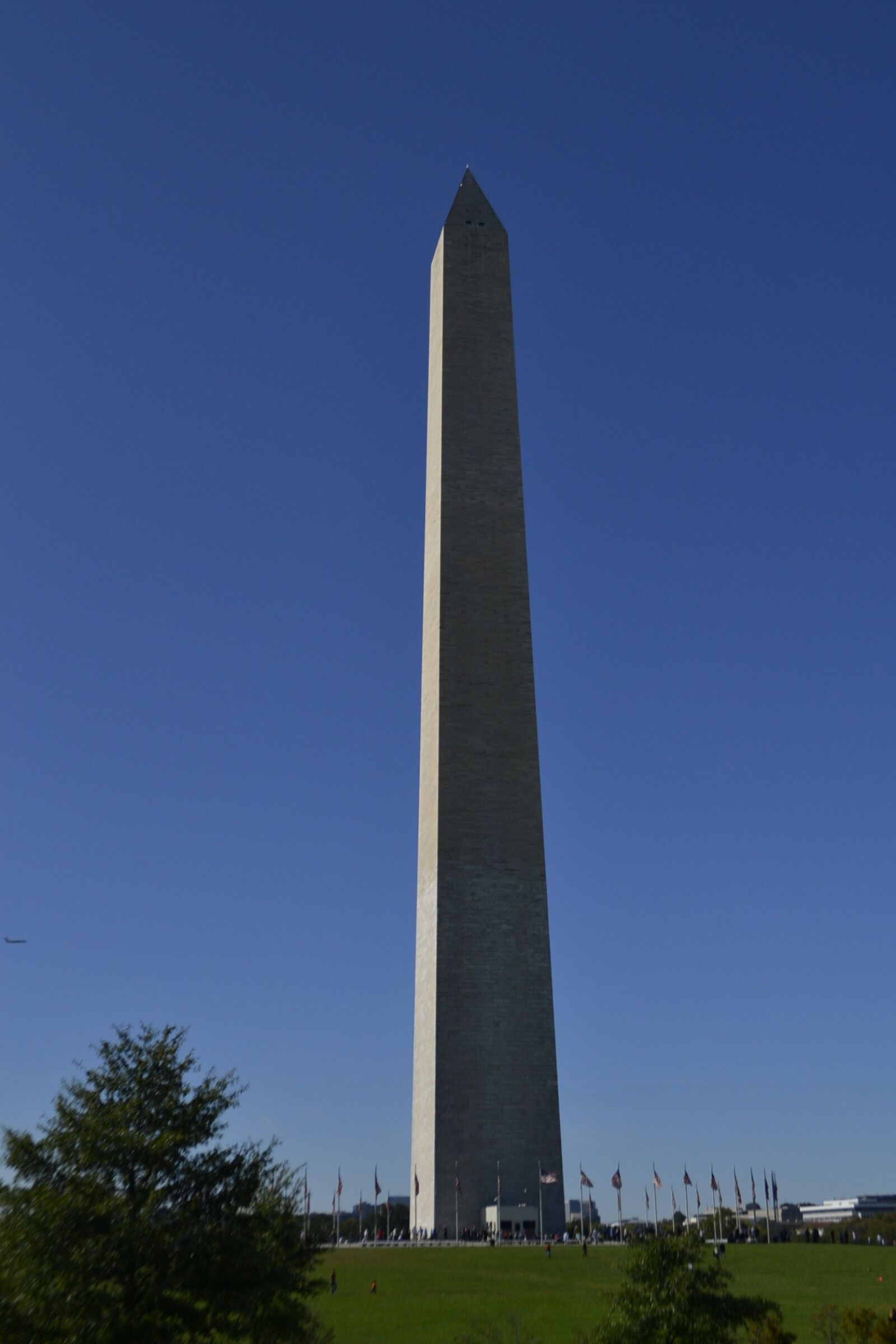 Nikon D3100 sample photo. Washington monument, tall building photography