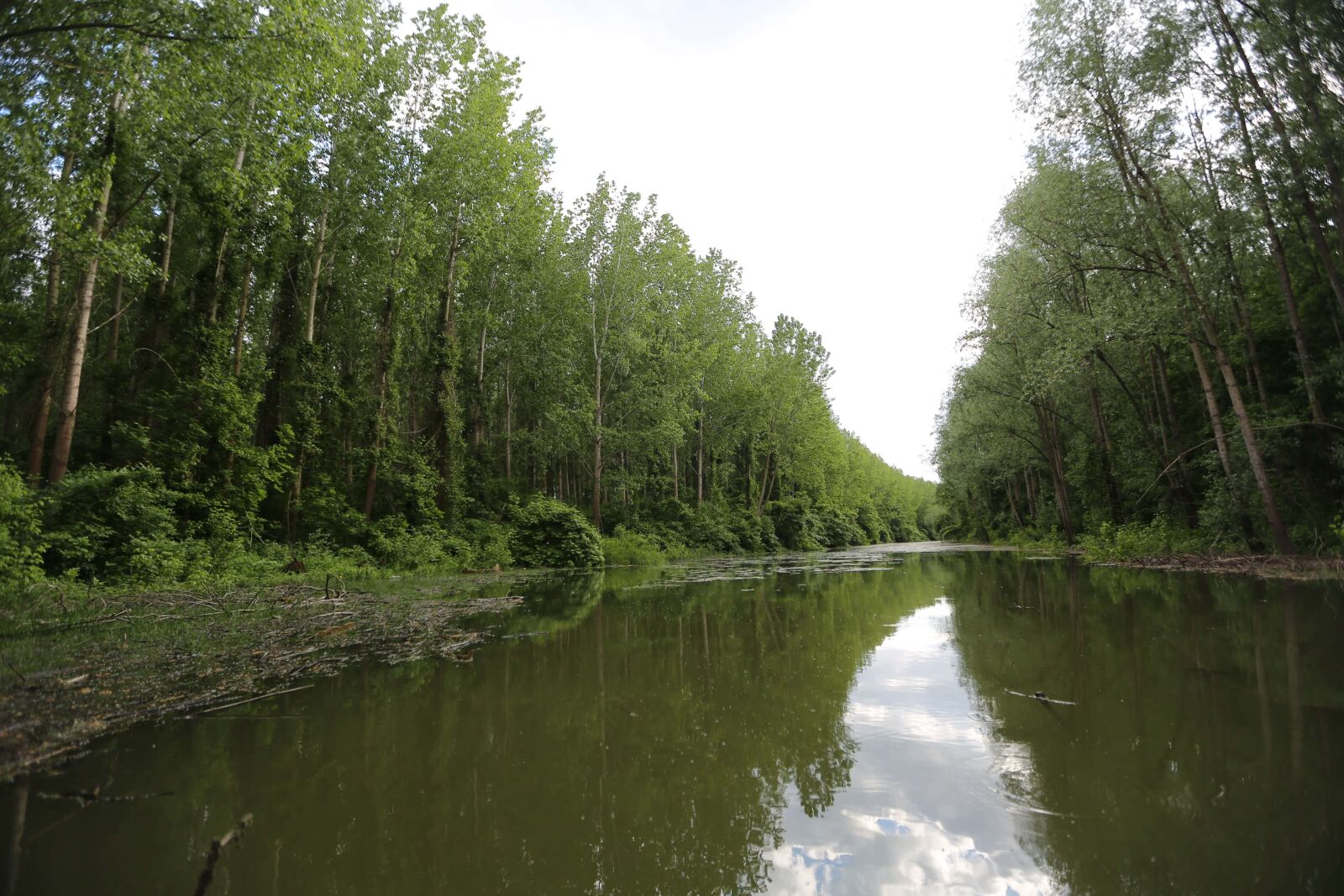 Canon EF 16-35mm F2.8L II USM sample photo. Riverbank, channel, river, swamp photography