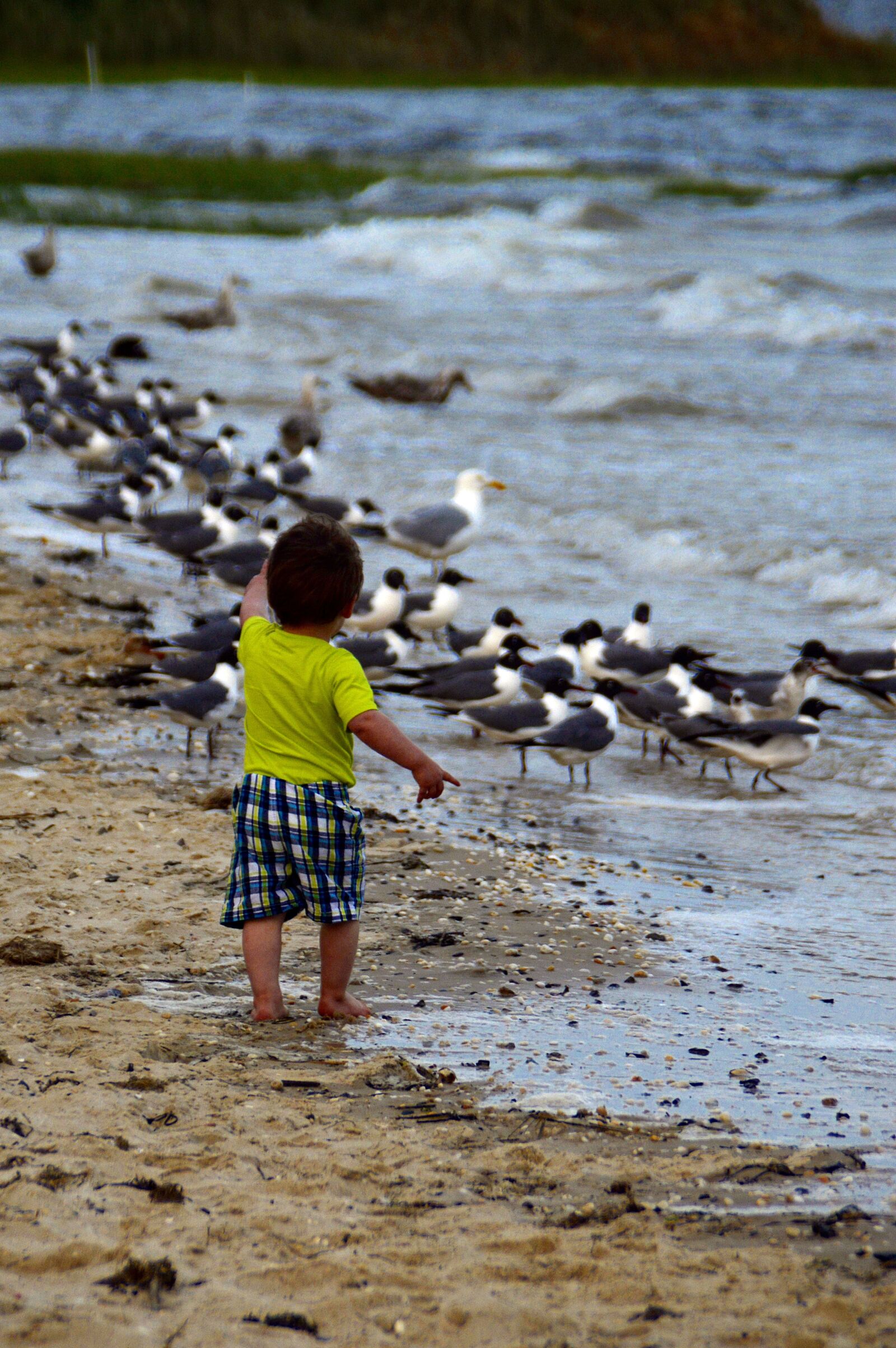 Nikon D3200 sample photo. Boy, beach, child photography
