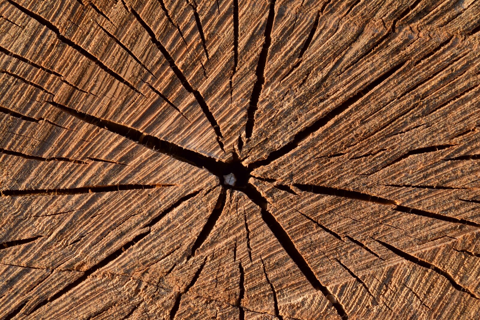 Nikon D3300 sample photo. Background, wood, structure photography