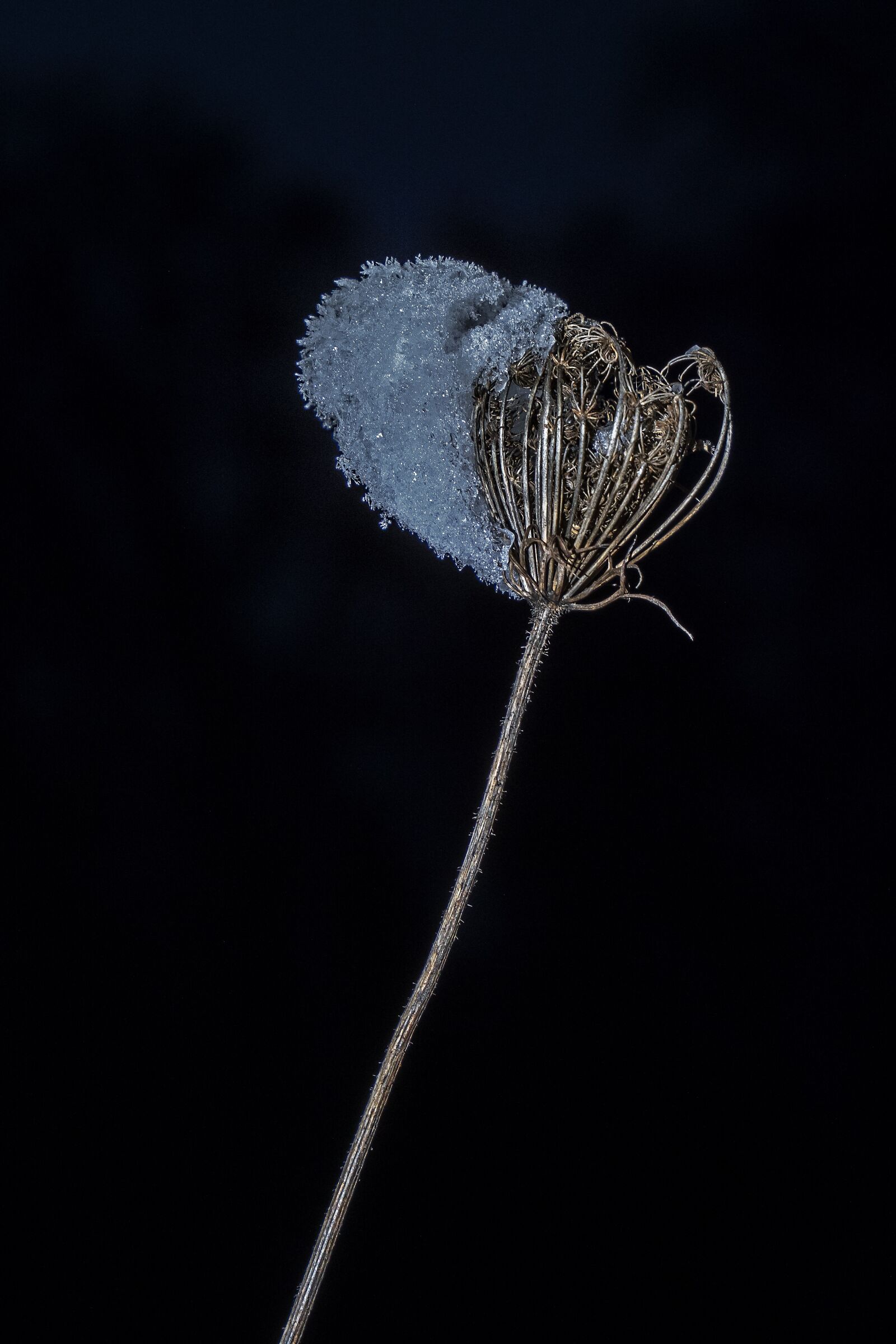 Panasonic Lumix DC-G9 sample photo. Snow, ice, winter photography