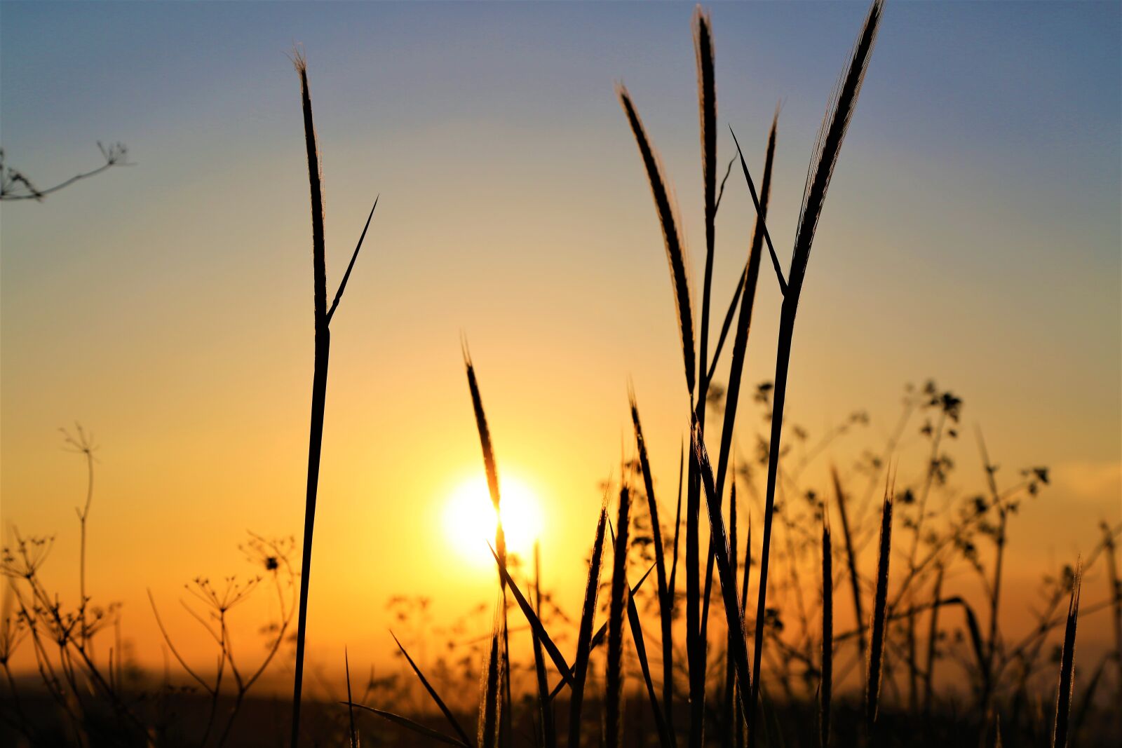 Canon EF 24-105mm F4L IS USM sample photo. Sunset, in the evening photography