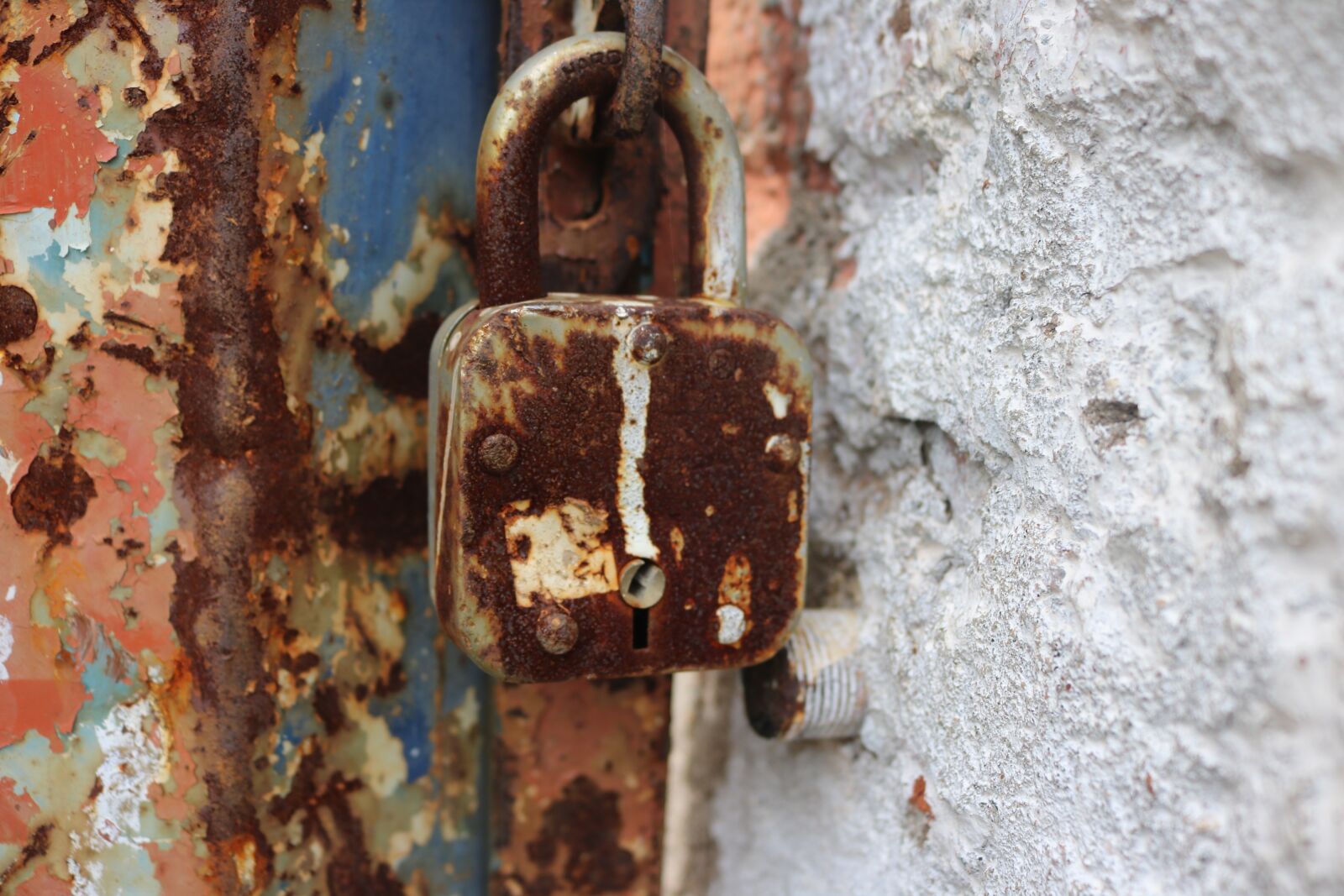 Canon EOS 750D (EOS Rebel T6i / EOS Kiss X8i) sample photo. Rust, antique, vintage photography