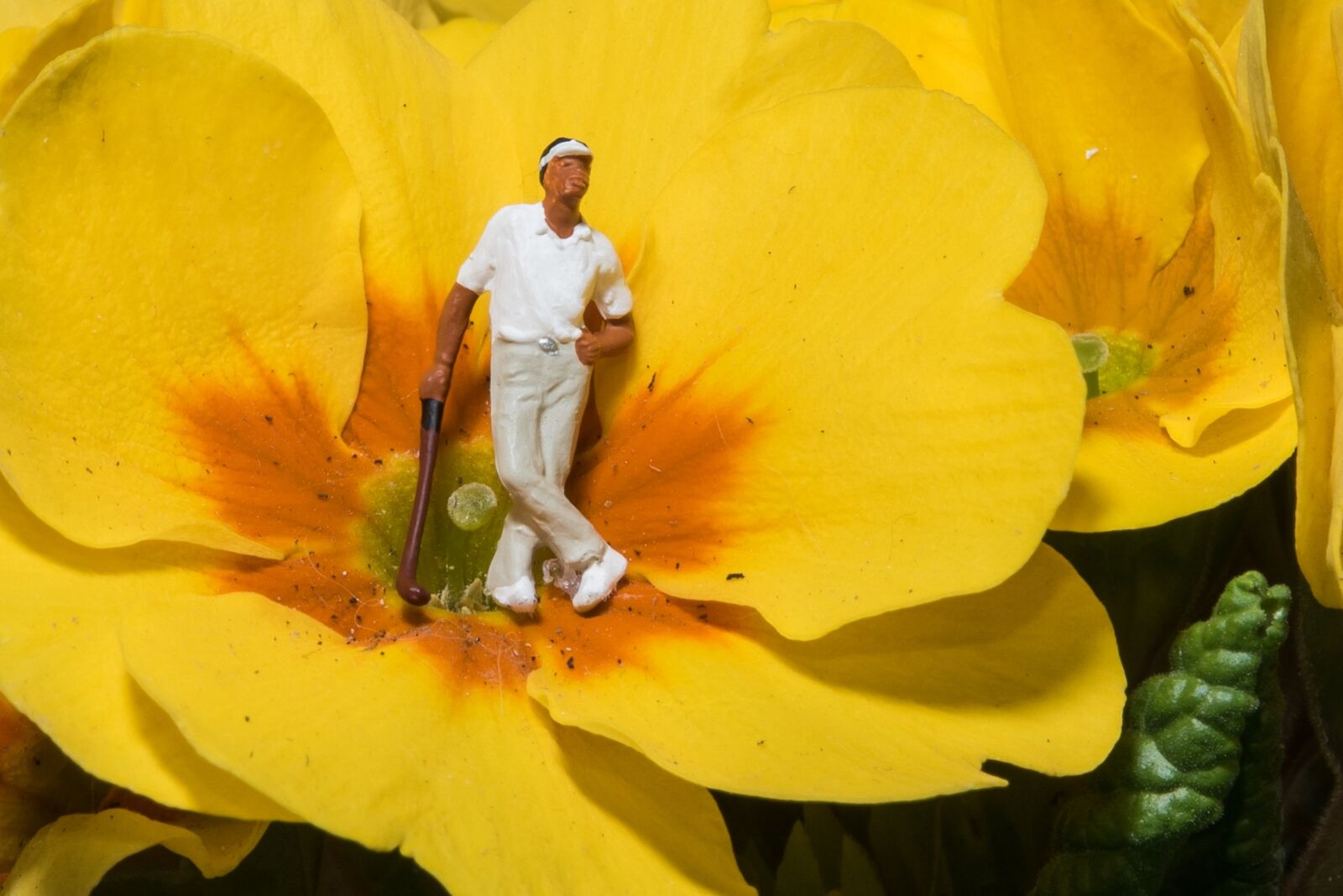 Nikon D750 sample photo. Miniature, photography, golf photography