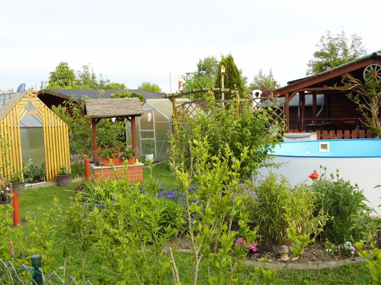 Rollei Powerflex 210 HD sample photo. Garden, recovery, leisure photography