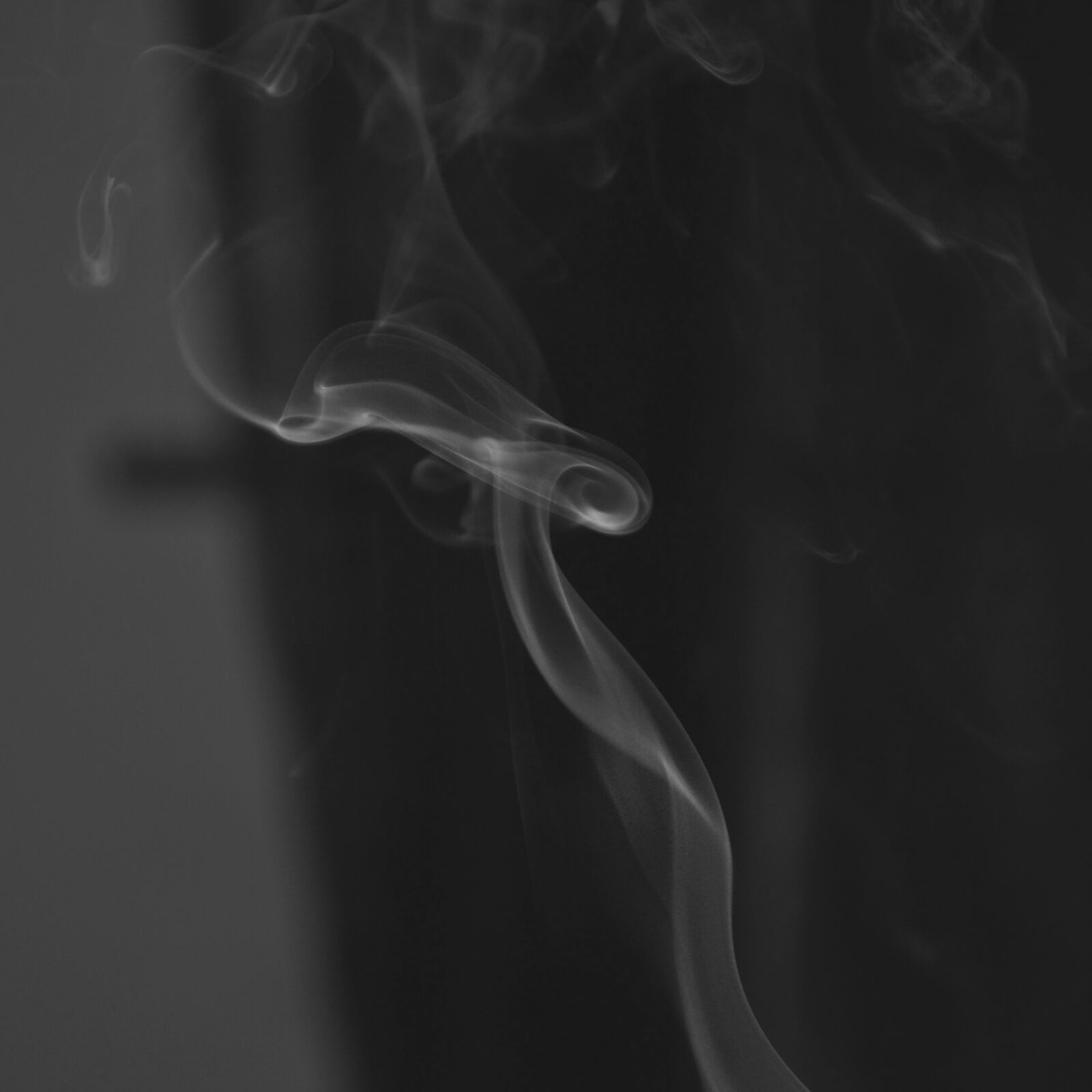 Nikon D3100 sample photo. Black, and, white, bw photography