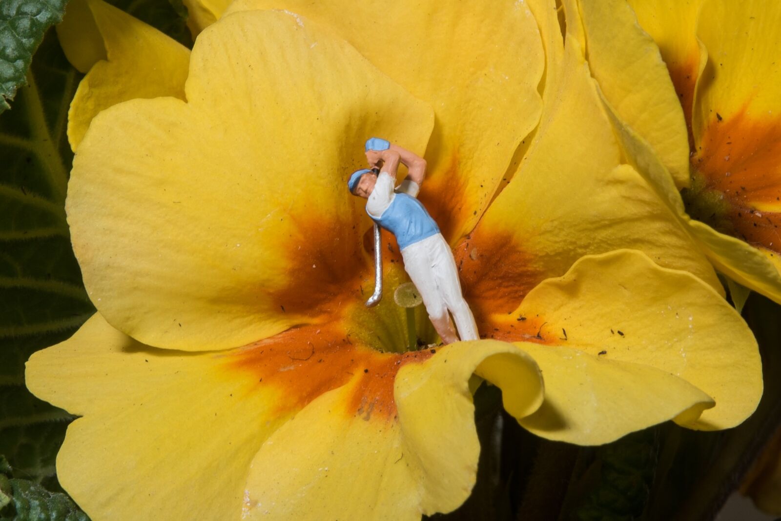Nikon D750 sample photo. Miniature, photography, golf photography
