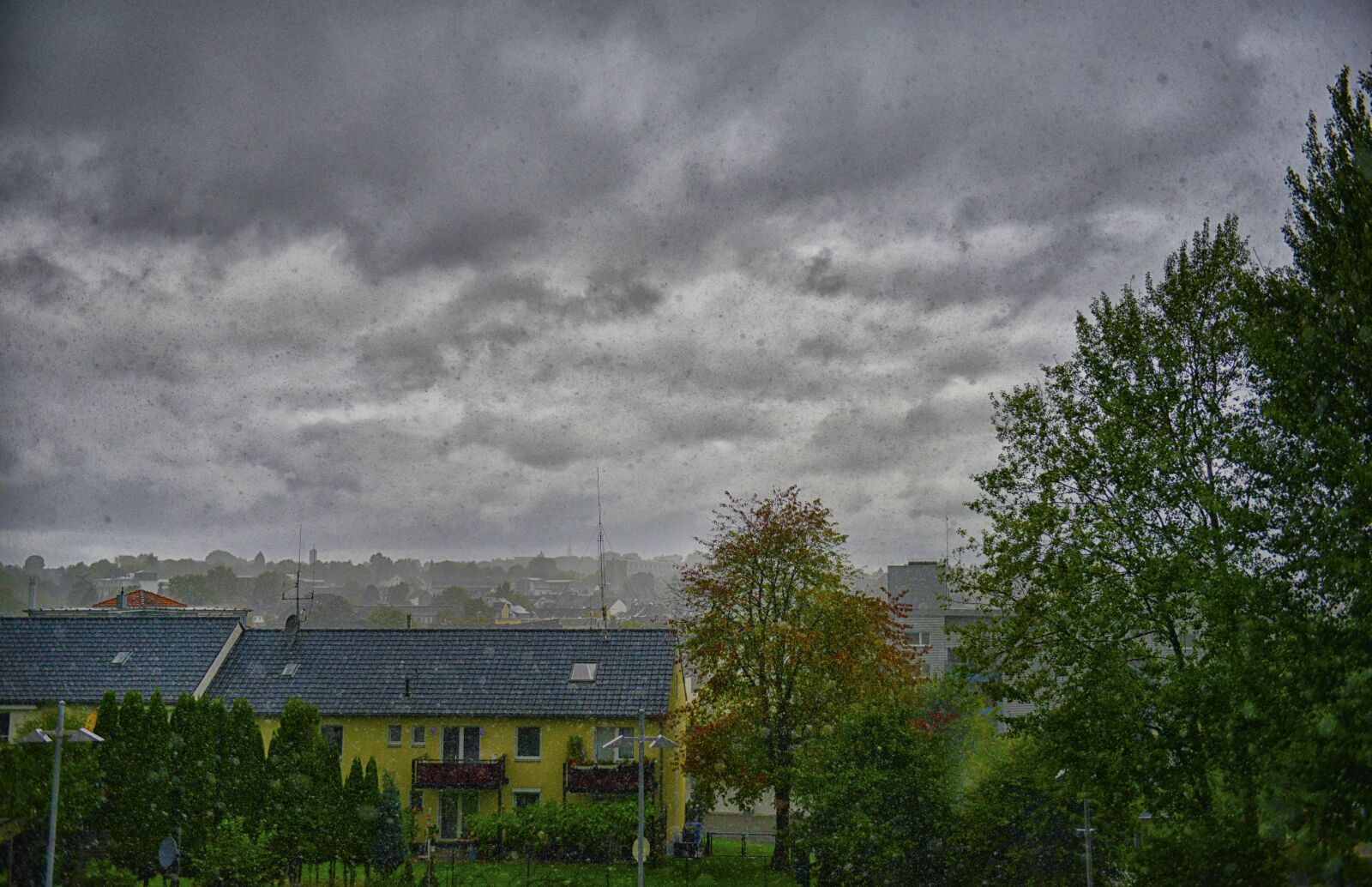 Nikon D800 sample photo. Rain, thunderstorm, forward photography