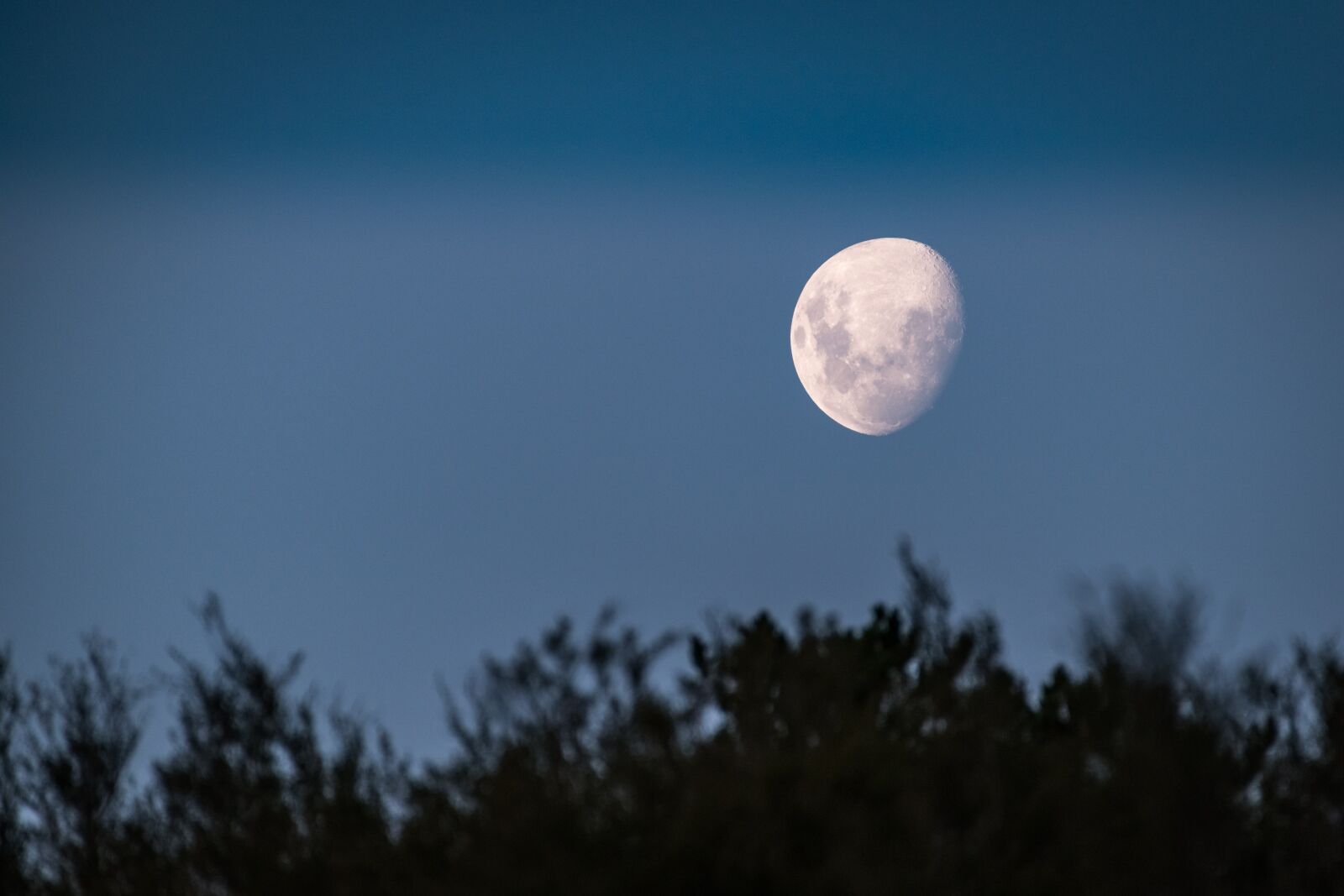 Nikon D850 sample photo. Moon, moonlight, dusk photography