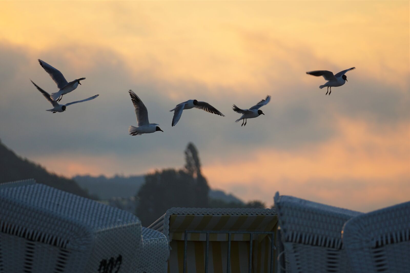 Sony E 70-350mm F4.5-6.3 G OSS sample photo. Gulls, sunset, beach chair photography