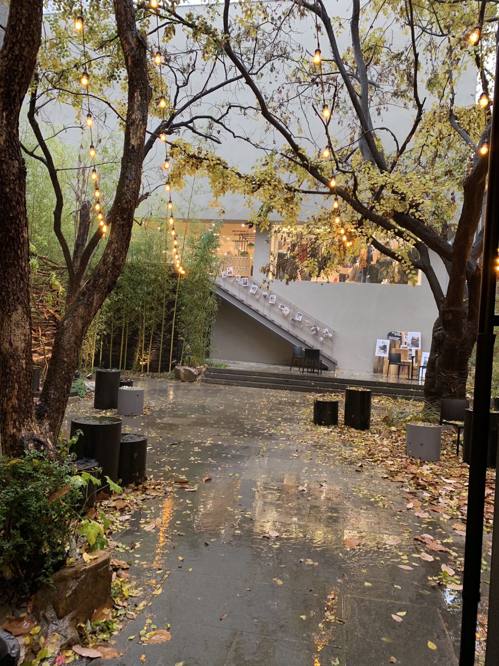 iPhone XS back dual camera 4.25mm f/1.8 sample photo. Seoul streets, korea, autumn photography