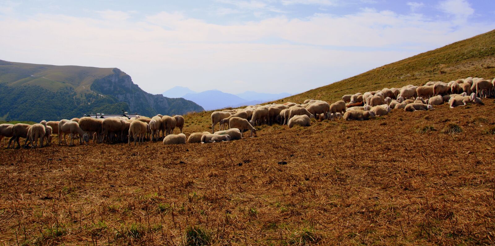 Nikon D7100 sample photo. Flock, mountain, sheep photography