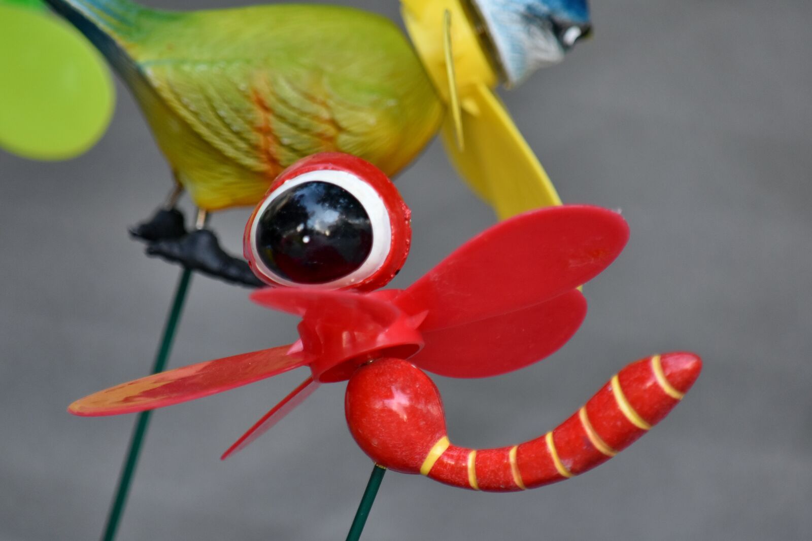 Nikon D5500 sample photo. Detail, details, dragonfly, handmade photography