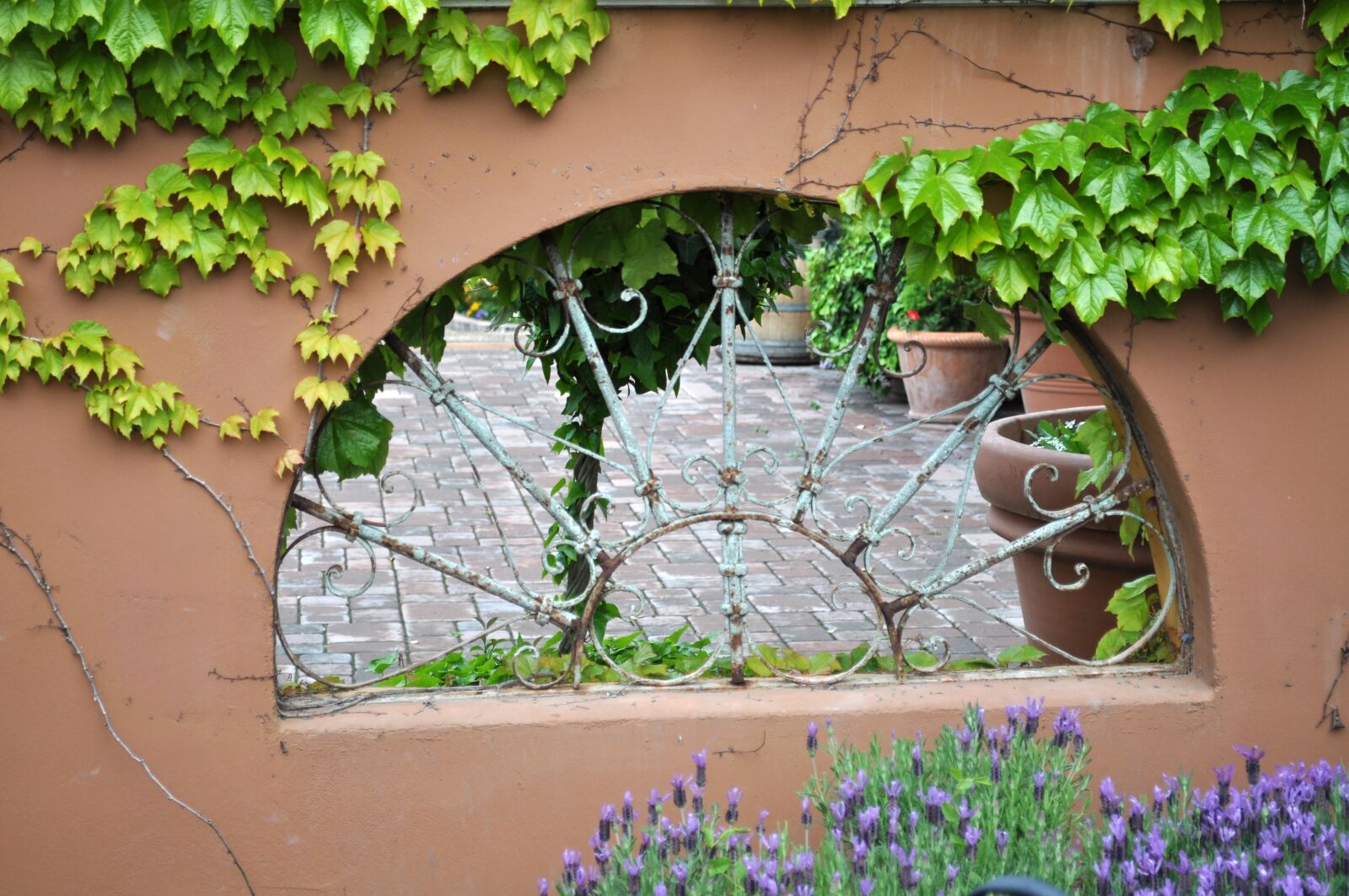 Nikon D5000 sample photo. Garden, wrought iron, greenery photography