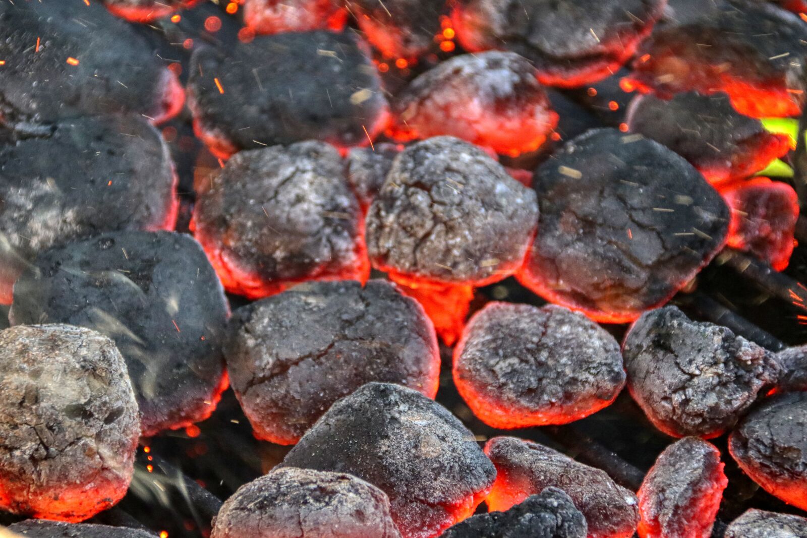 Canon EOS 80D sample photo. Carbon, fire, barbecue photography
