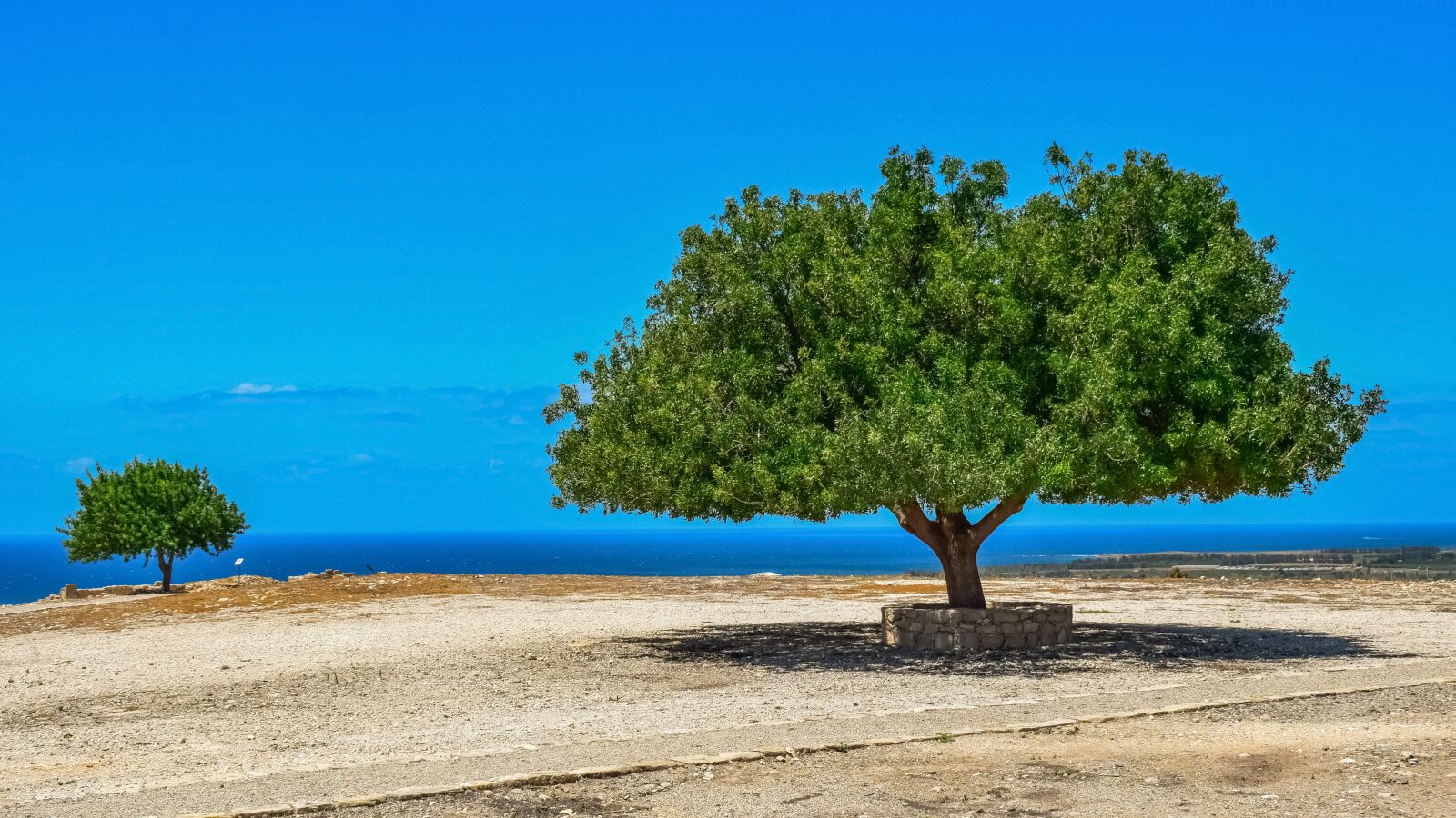 Nikon D3300 sample photo. Trees, landscape, horizon photography