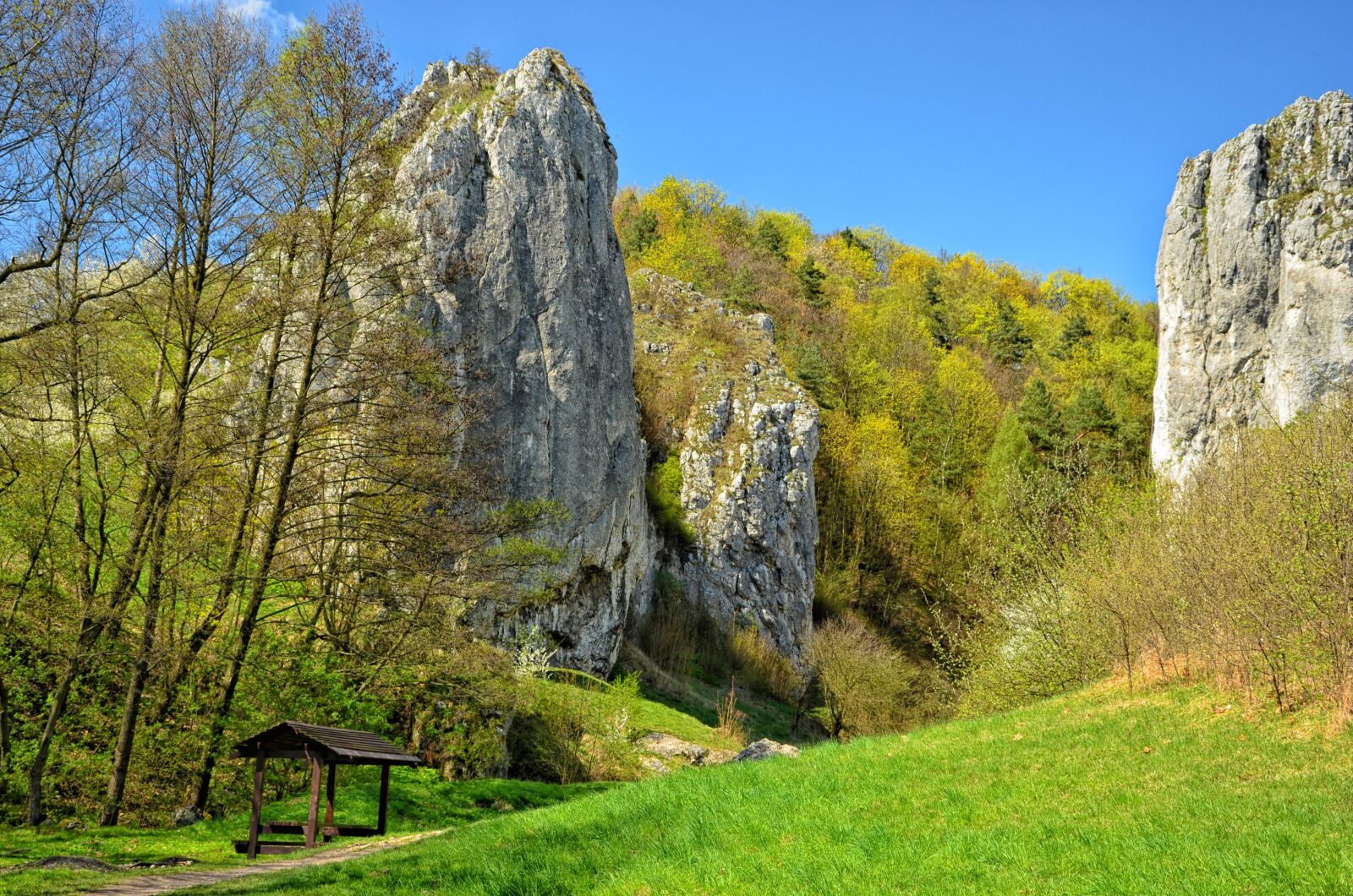 Nikon D5100 sample photo. Poland, valley bolechowicka, landscape photography