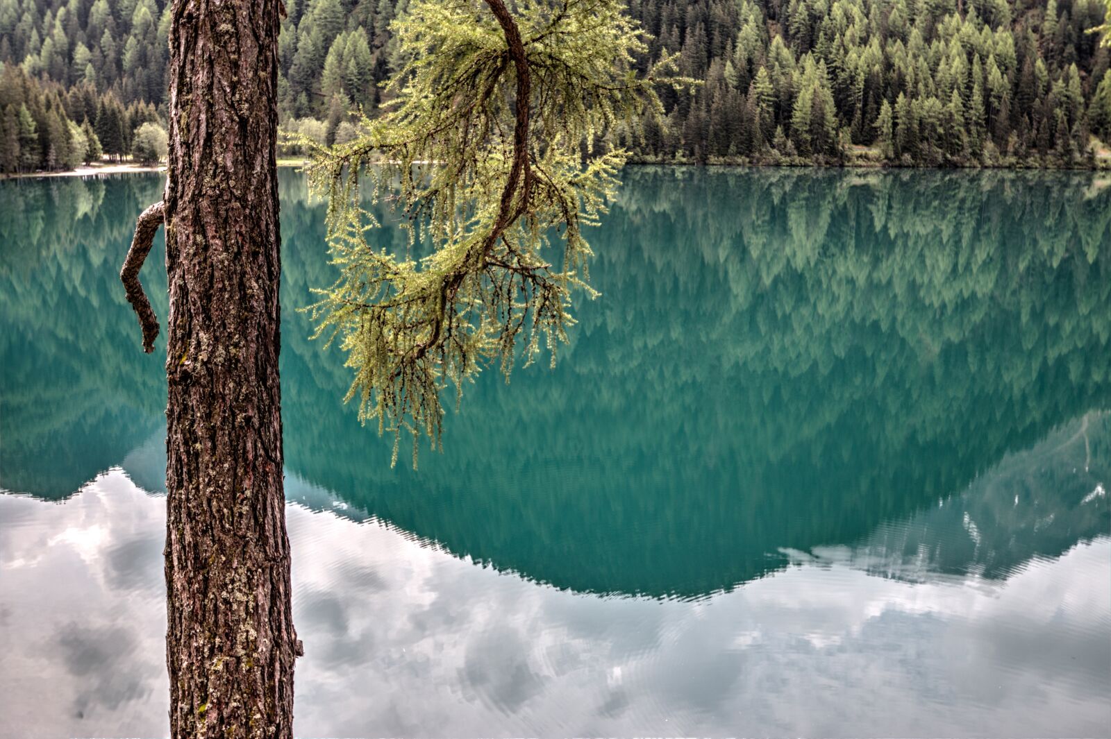 Canon EOS 70D sample photo. Lake, lakes, tree photography