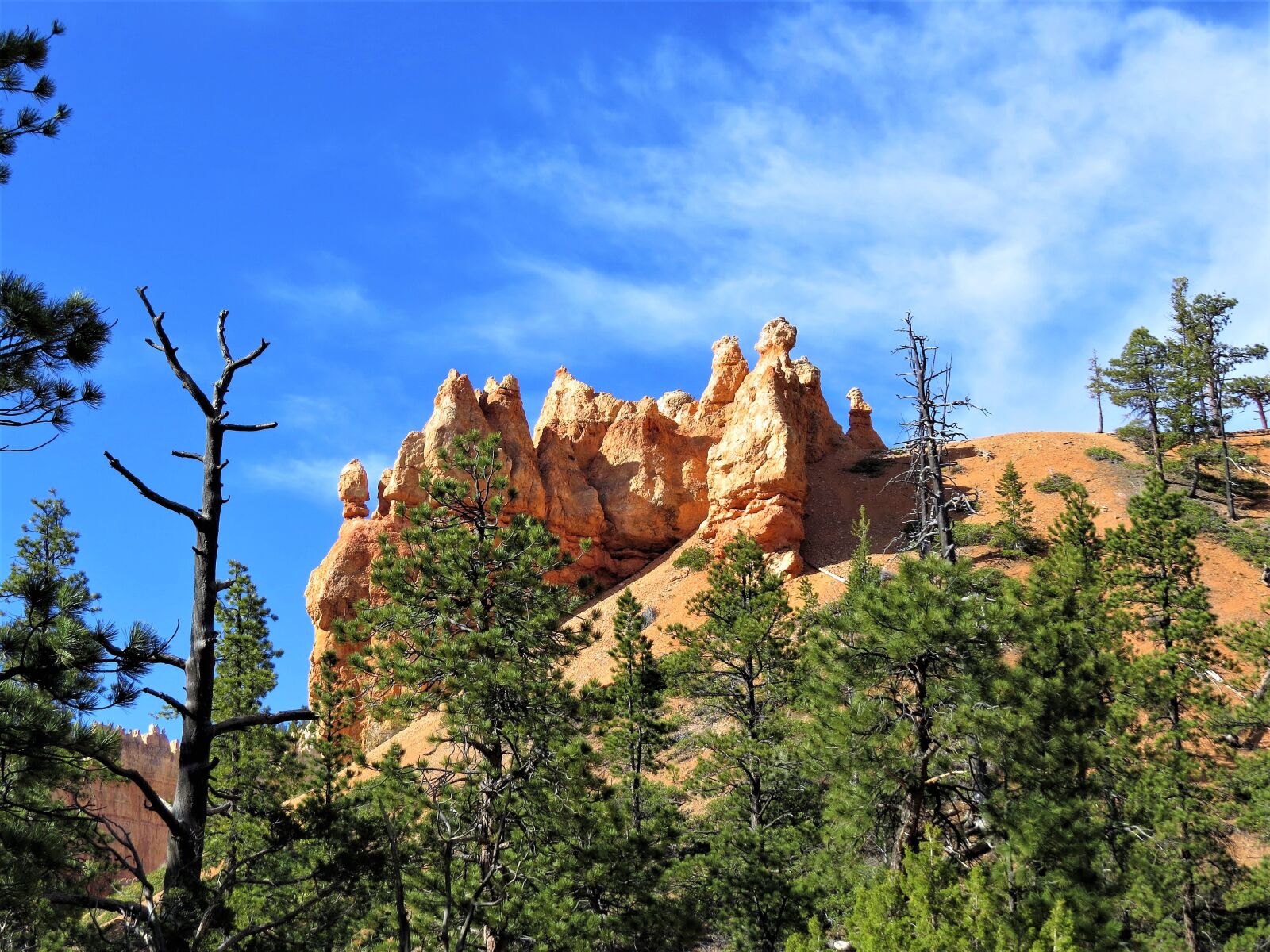 Canon PowerShot SX50 HS sample photo. Bryce canyon, utah, red photography