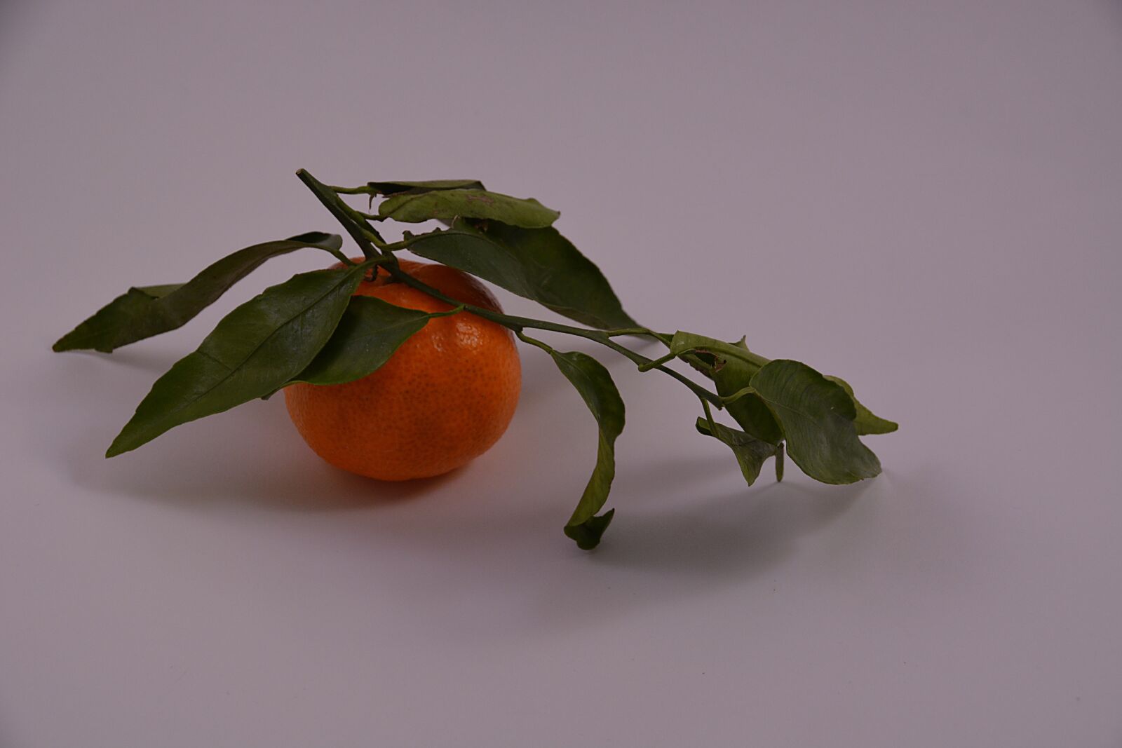 Nikon D5200 sample photo. Mandarin, fruit, red photography