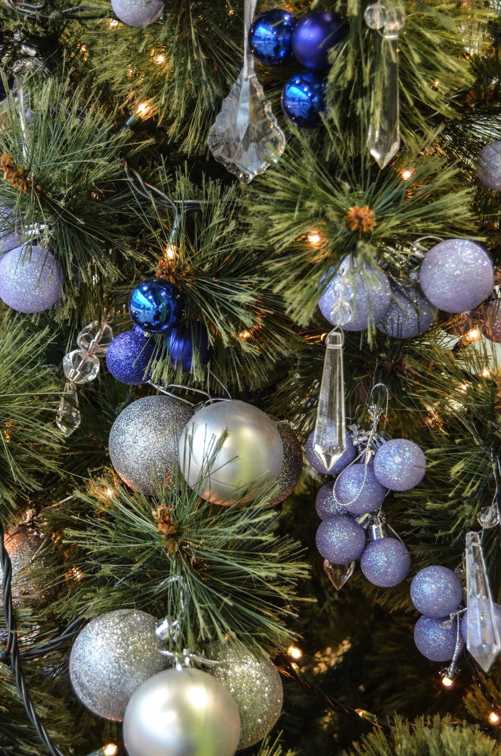 Nikon D5100 sample photo. Decoration, fir, christmas, holiday photography