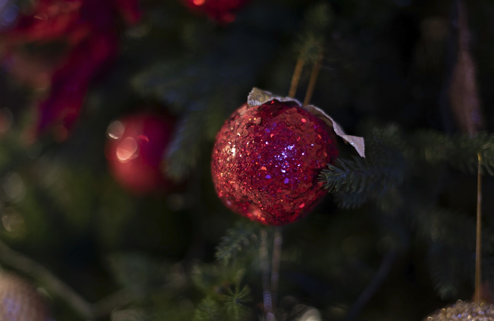 Nikon D750 sample photo. Christmas, lights, holiday photography