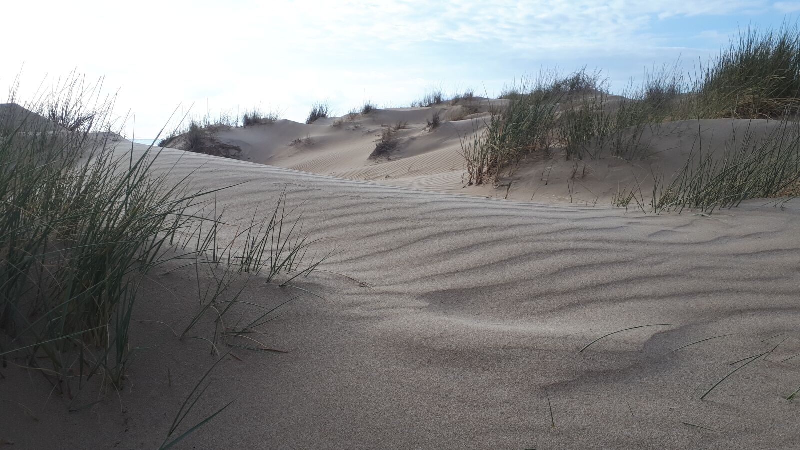 Samsung Galaxy A5(2017) sample photo. Dune, beach, sand photography