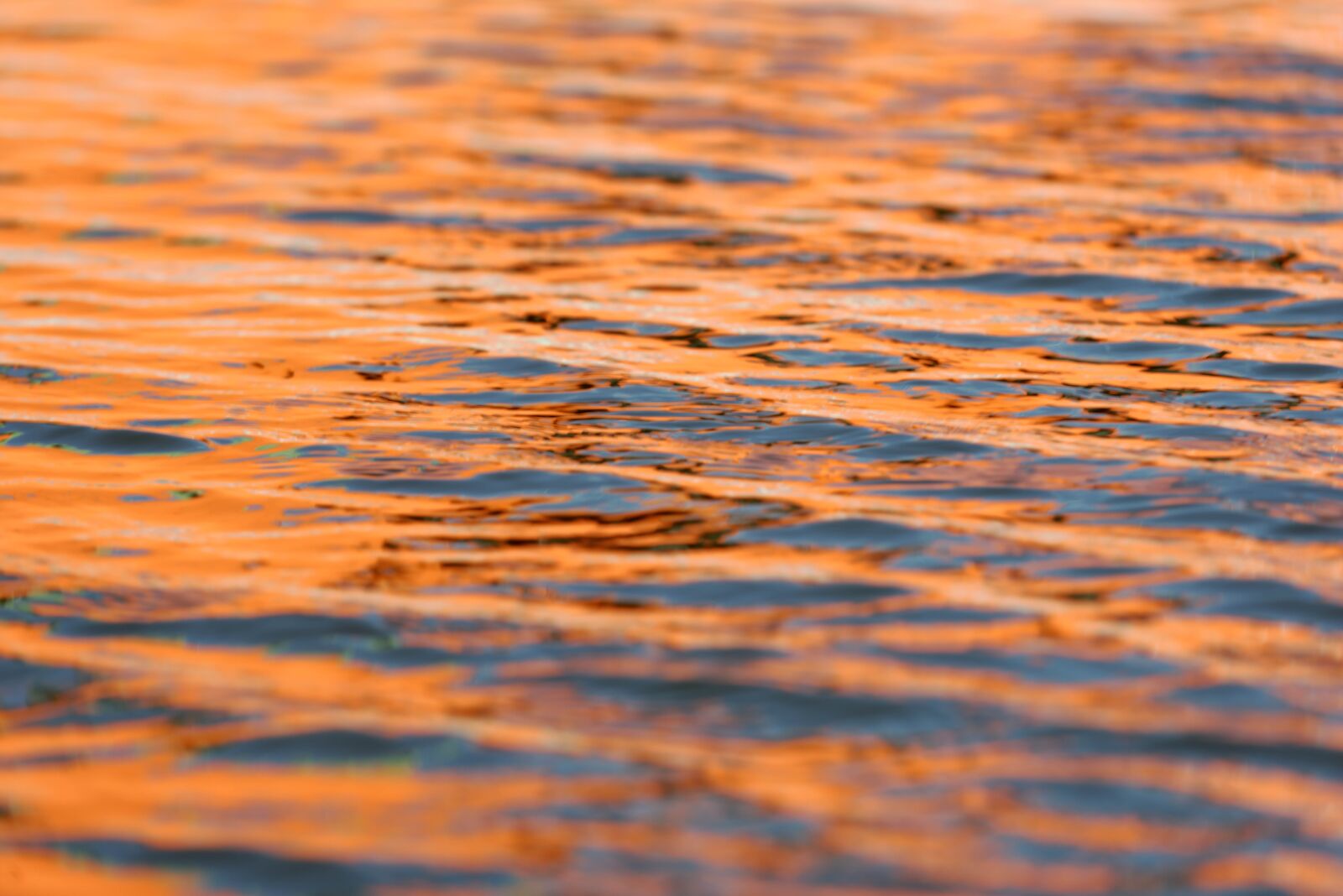 Nikon D800 sample photo. Water, port, reflections photography