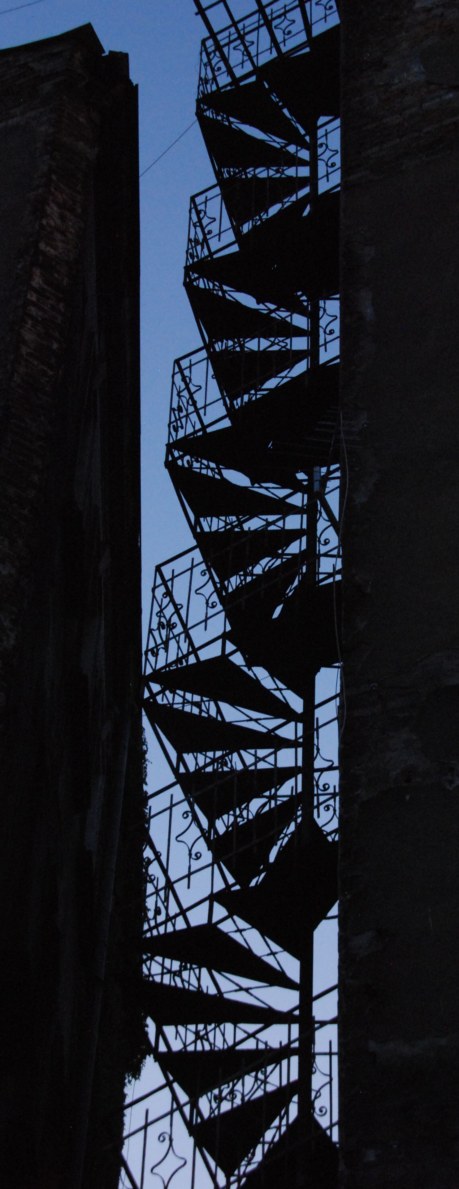 Nikon D80 sample photo. Trap, silhouette, evening photography