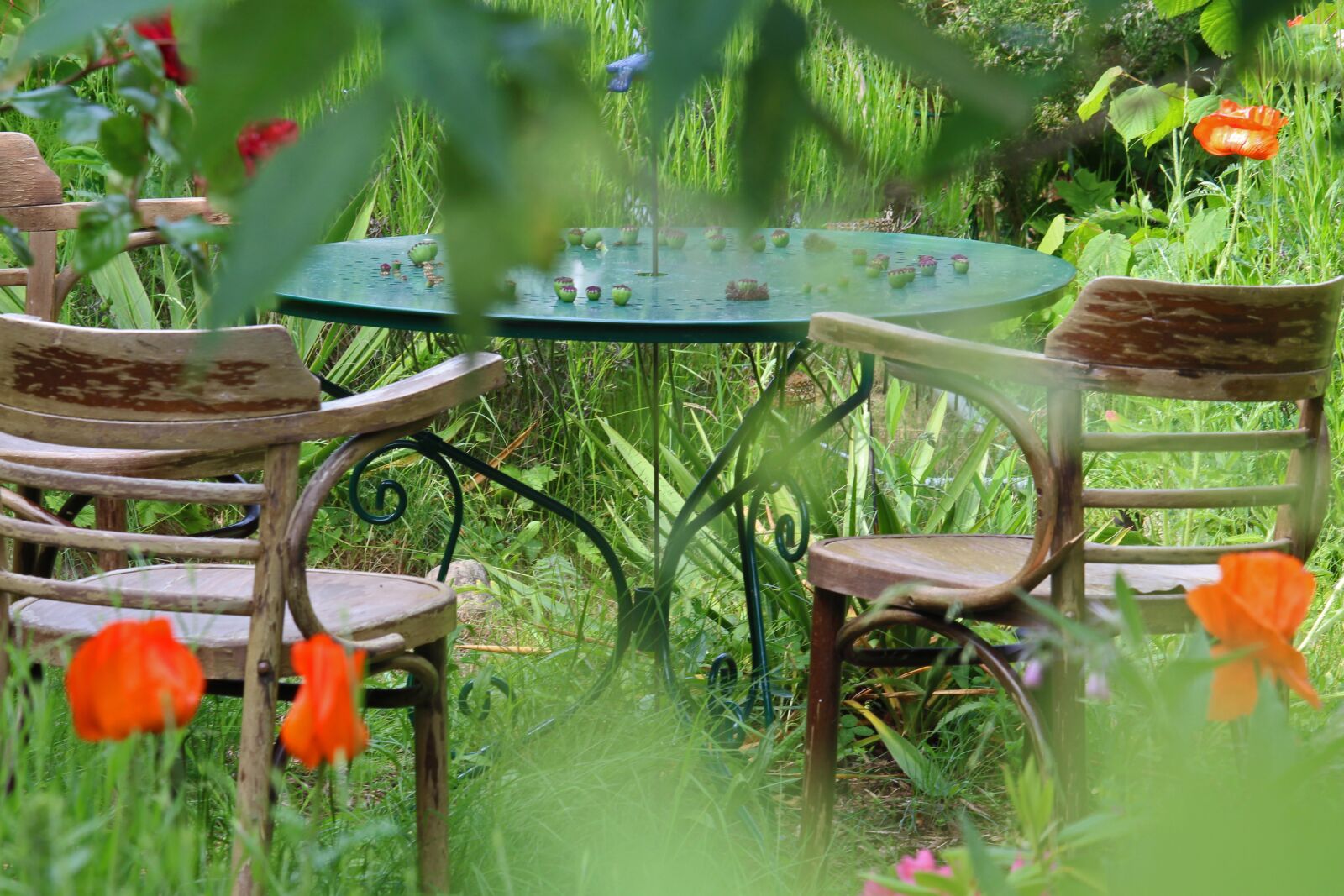Canon EF-S 55-250mm F4-5.6 IS STM sample photo. Garden, seating area, terrace photography