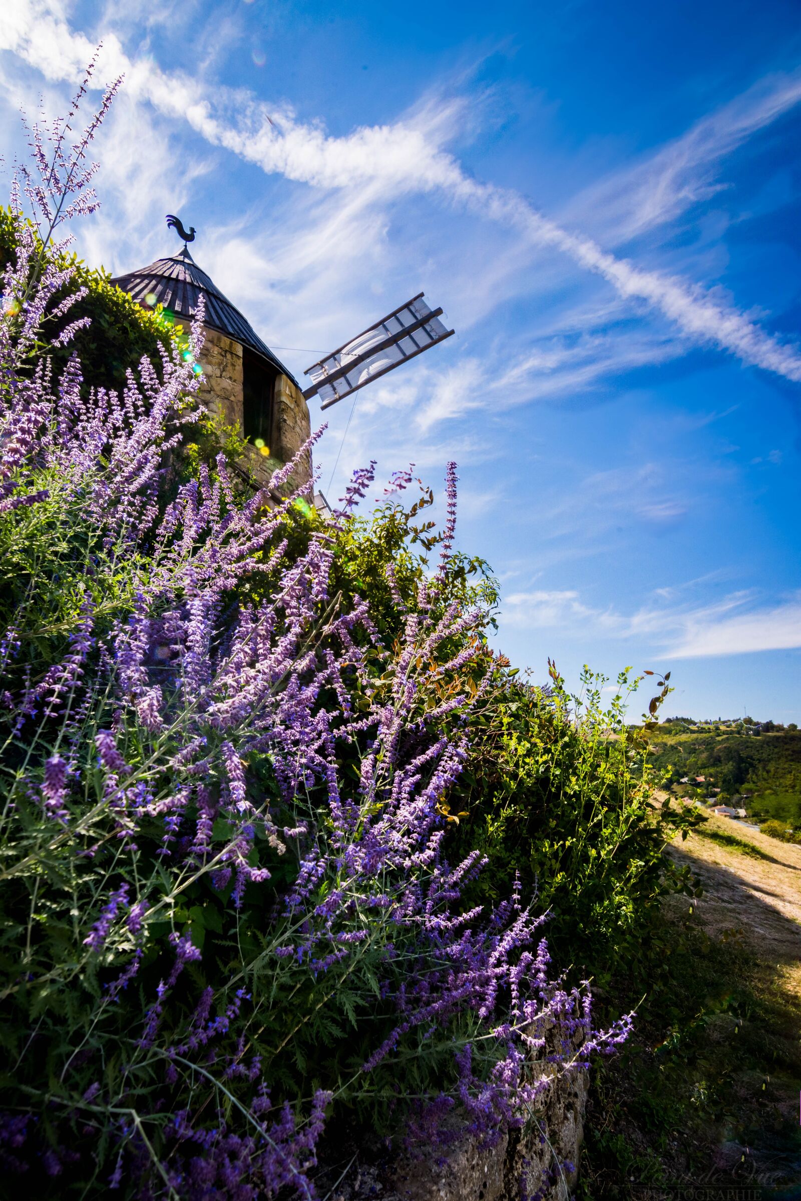 Nikon D7200 sample photo. Mill, lautrec, medieval photography