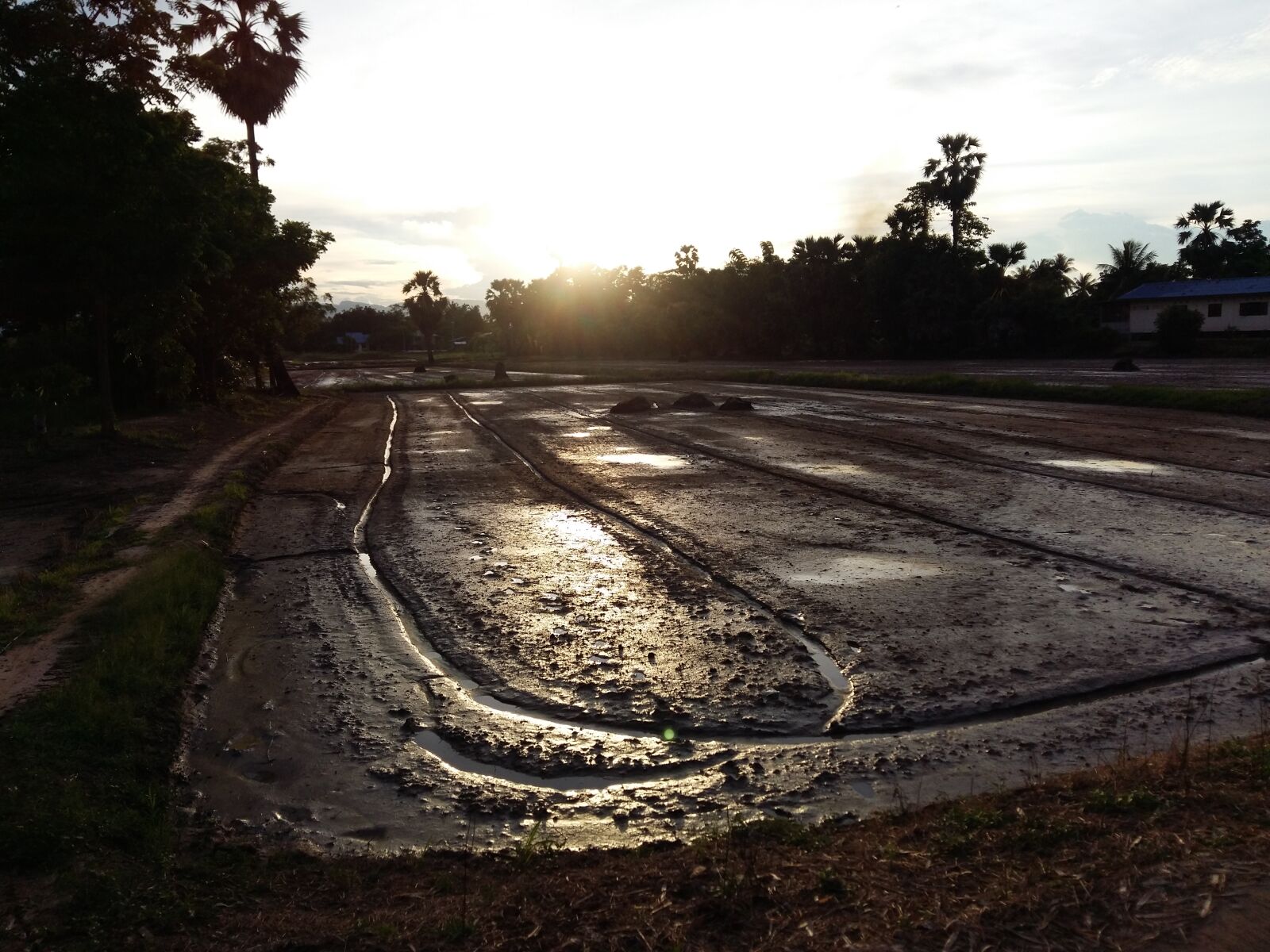 Samsung Galaxy A5 sample photo. Countryside, farm, light, nature photography