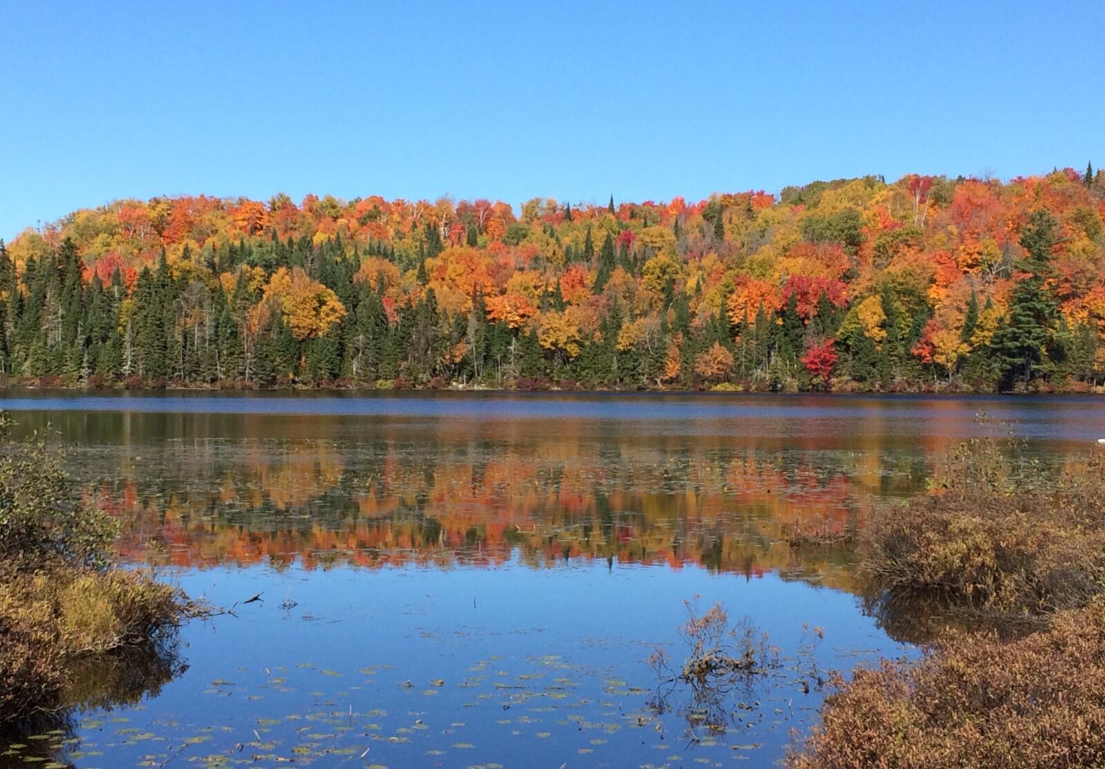 iPhone 5s back camera 4.15mm f/2.2 sample photo. Fall, québec, nature photography