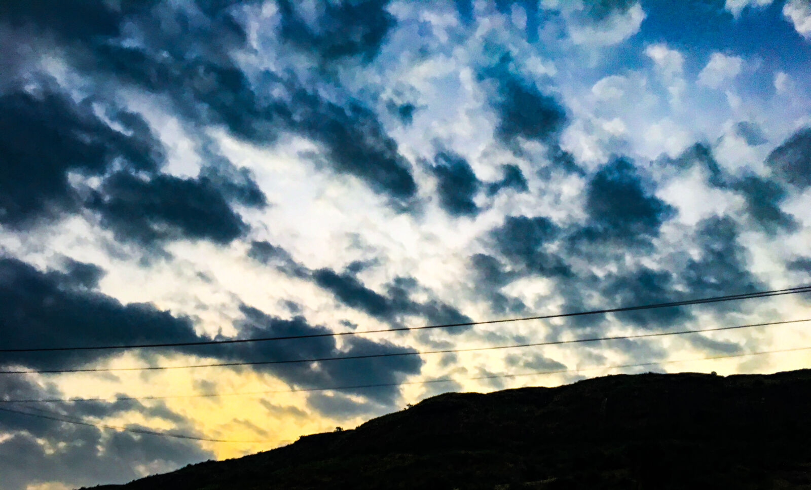 iPhone 6s back camera 4.15mm f/2.2 sample photo. Early, morning, nature photography