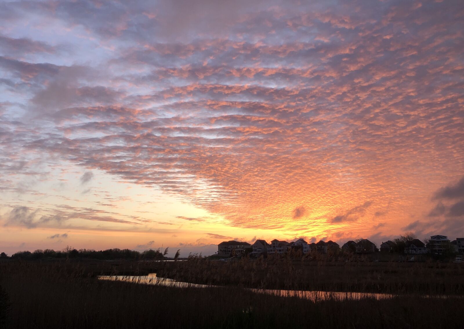 Apple iPhone 8 sample photo. Sunrise, marsh, bay photography