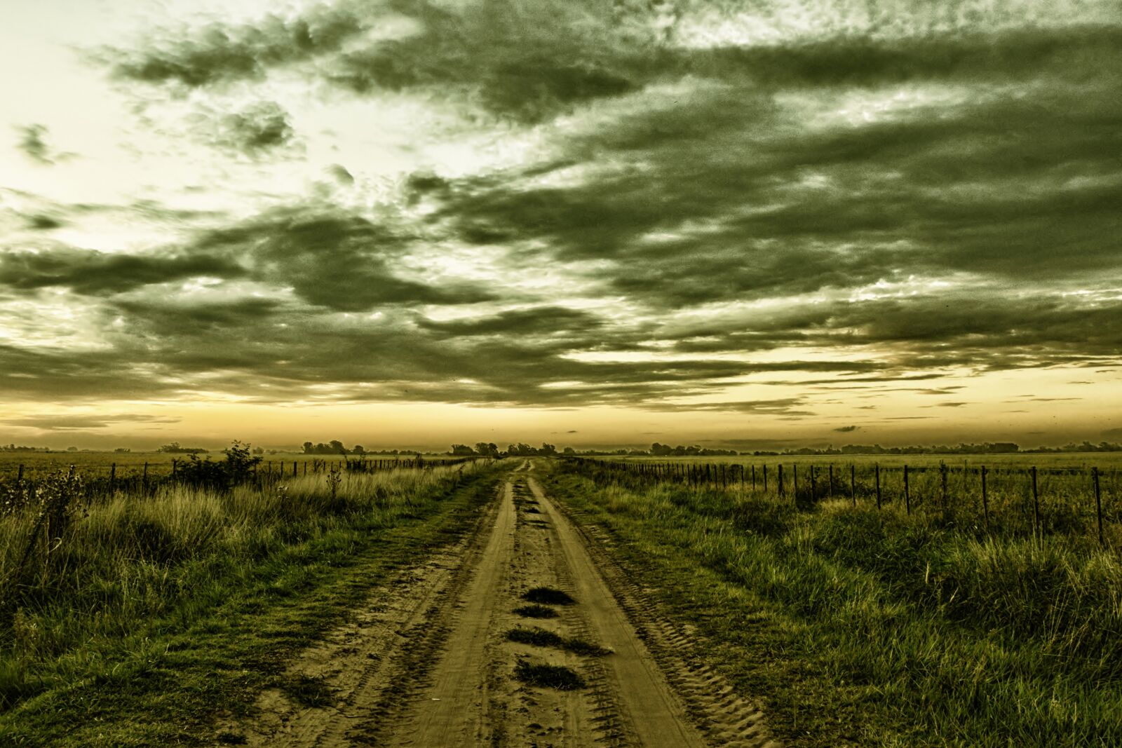 Nikon D5200 sample photo. Field, rural, rural road photography