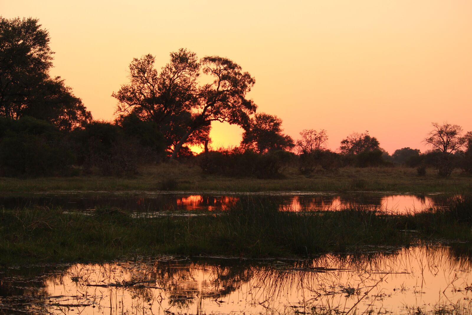 Canon EOS 650D (EOS Rebel T4i / EOS Kiss X6i) sample photo. Sunset, africa, silhouette photography