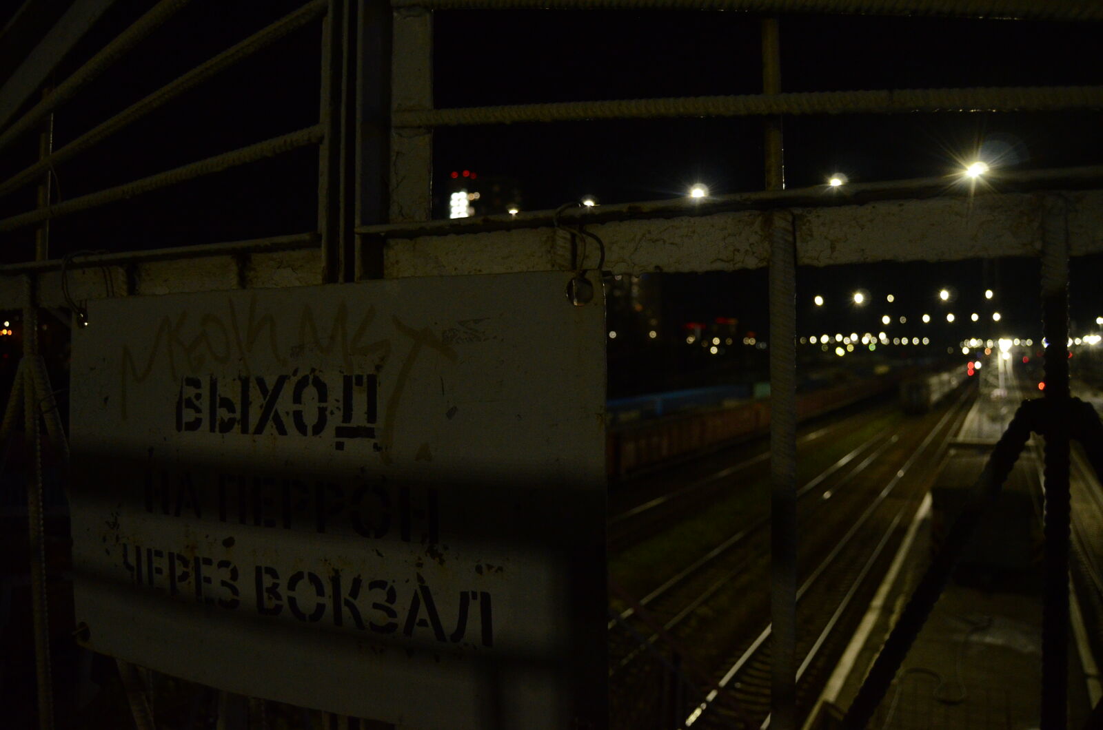 Nikon D5100 sample photo