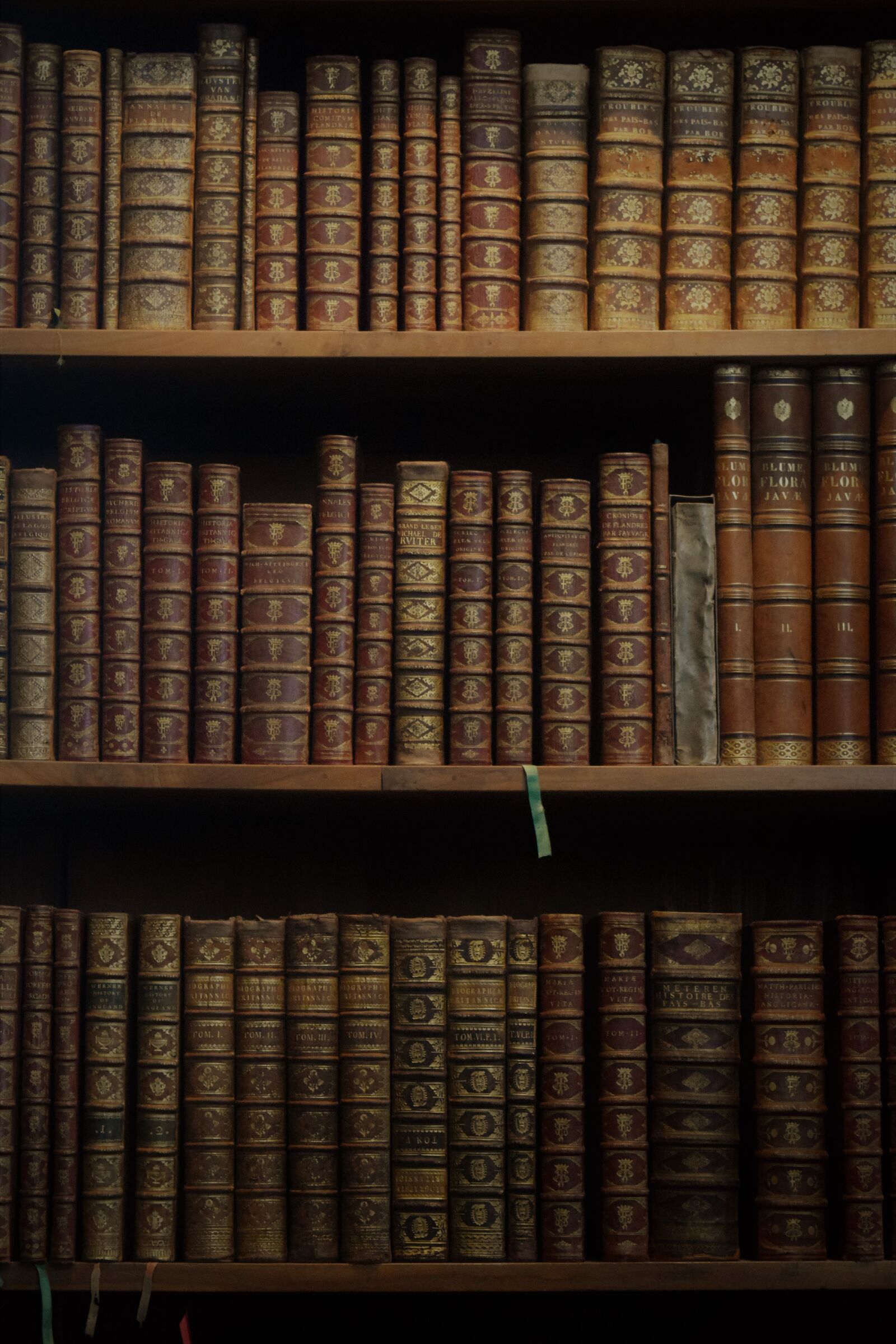 Nikon D3300 sample photo. Books, covers, book case photography