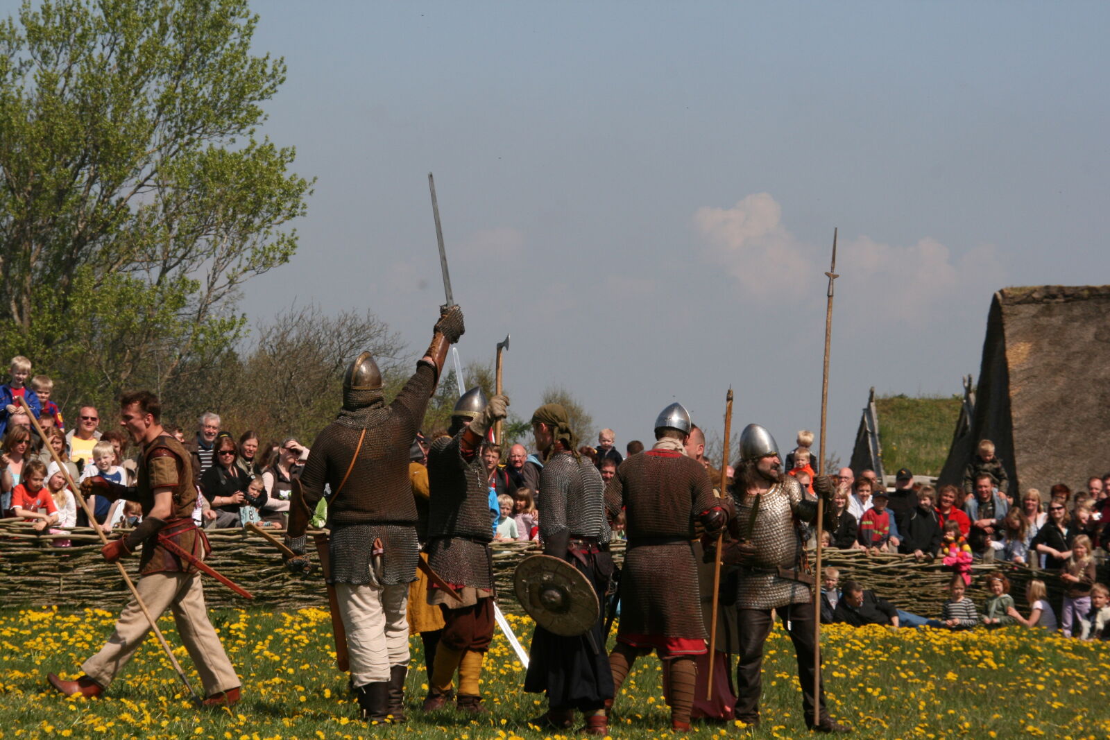 Sigma 18-200mm f/3.5-6.3 DC OS sample photo. Vikings photography