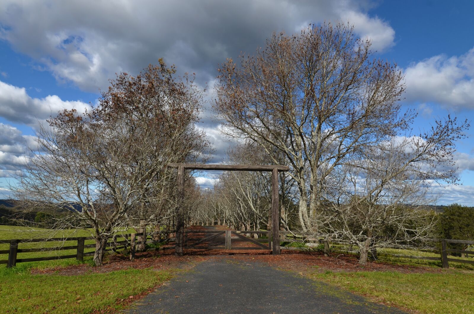 Nikon D7000 sample photo. Landscape, natural, nature photography